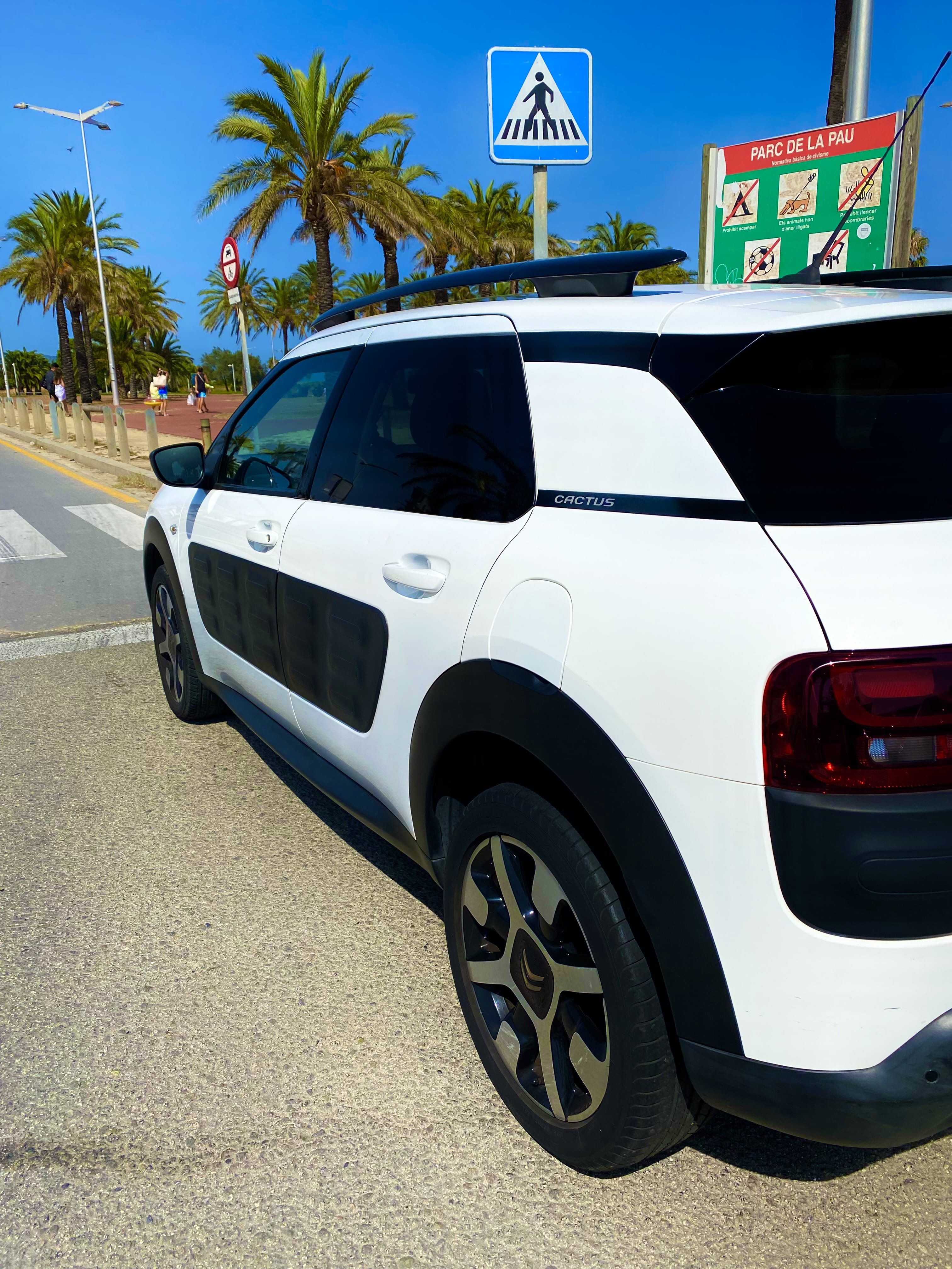 Citroen C4 Cactus con Entrada de Audio/iPod