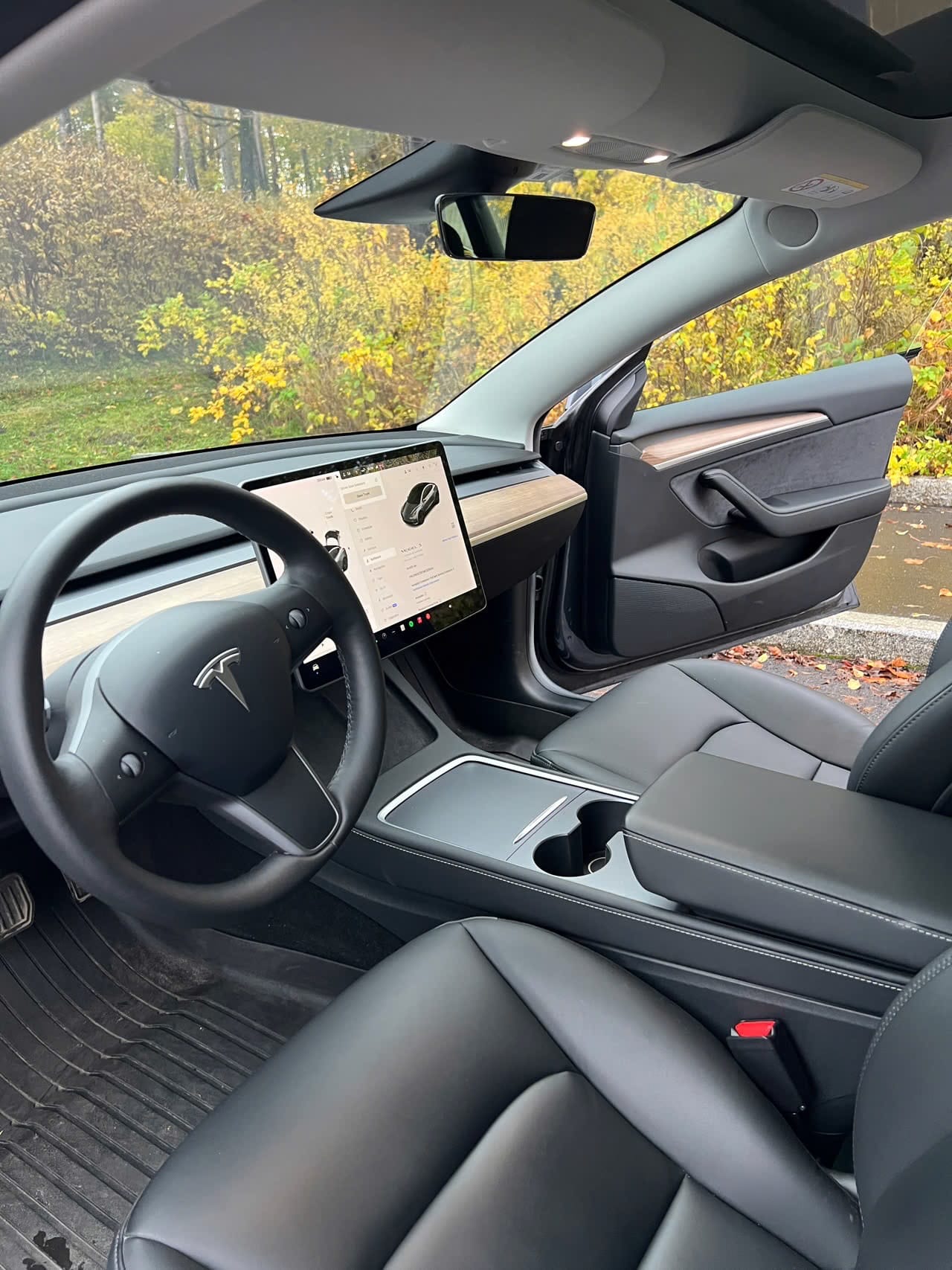 Tesla Model 3 Long Range med Vinterdekk