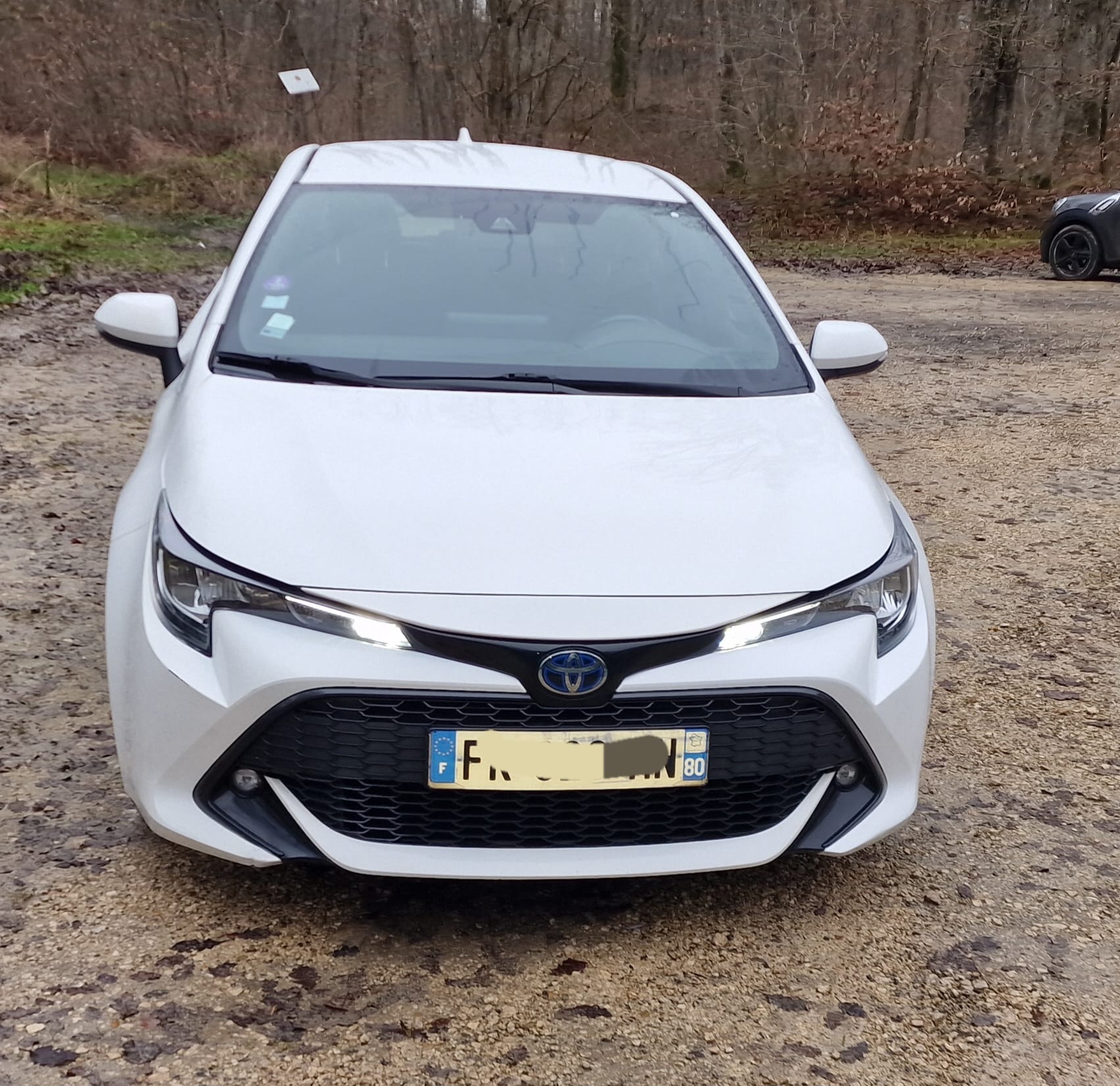 Toyota Corolla Hybride Boite automatique hybride FK826, 2019, Essence 95 / Électrique (hybride), automatique