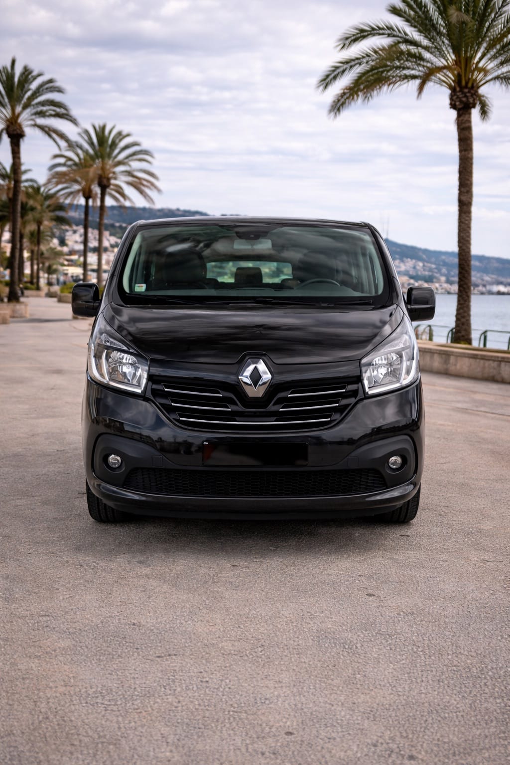 Renault Trafic with Backup camera