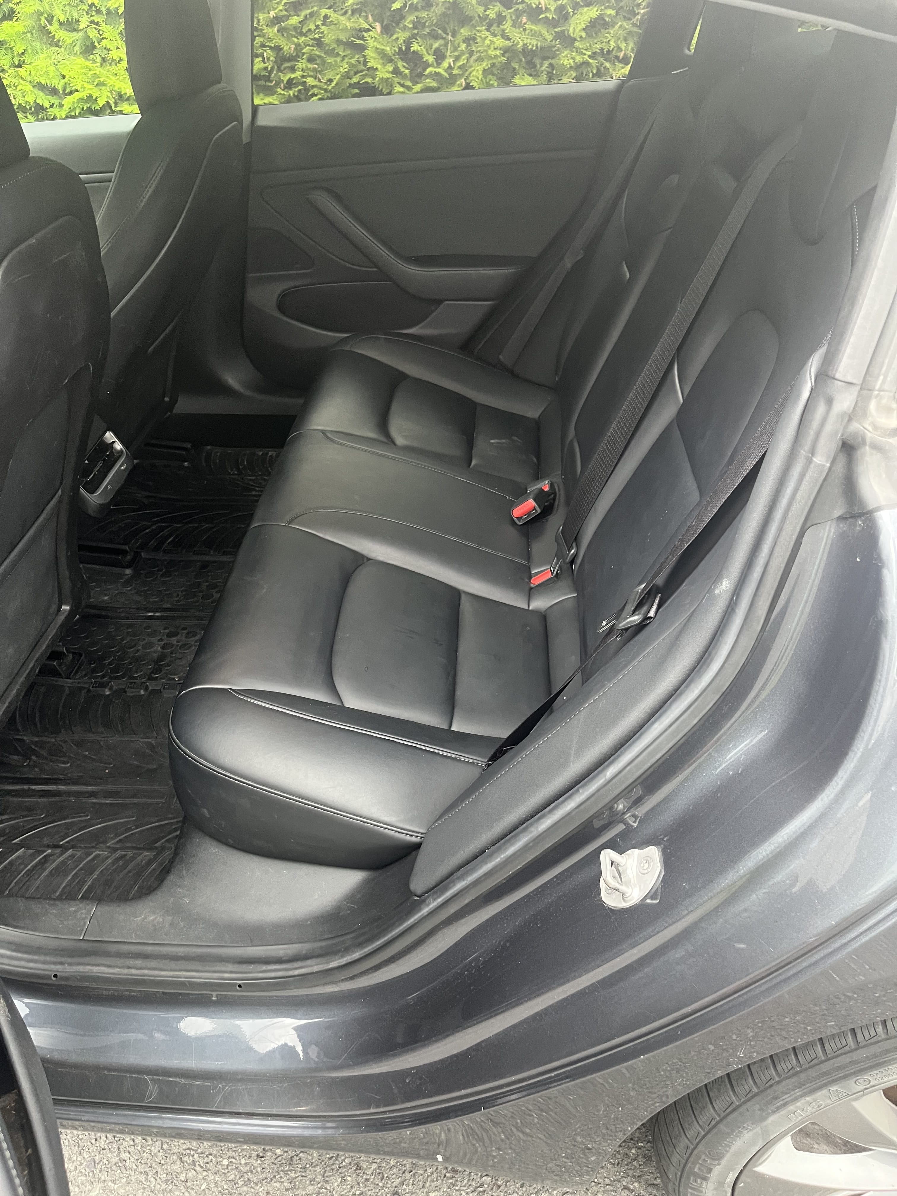 Tesla Model 3 Long Range med Skistativ