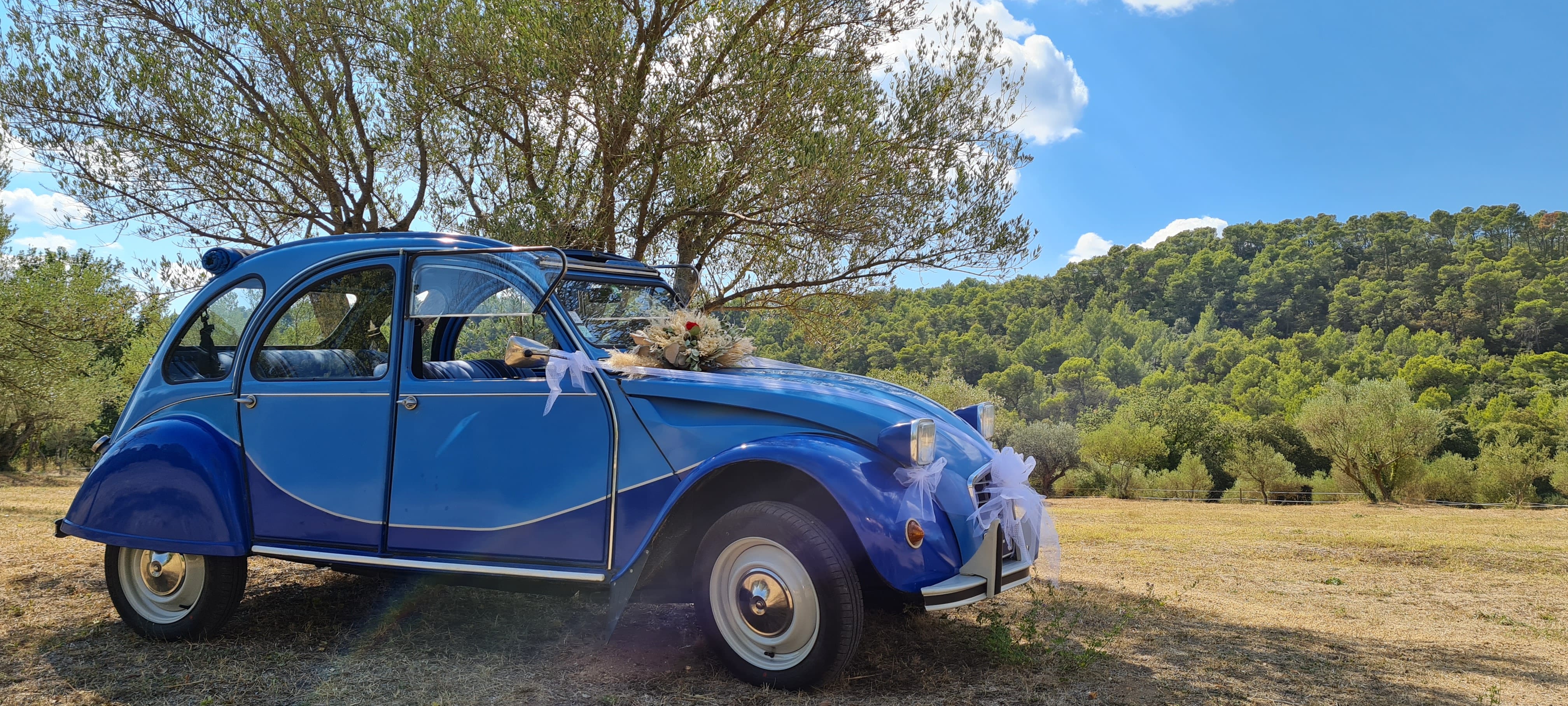 Citroen 2CV