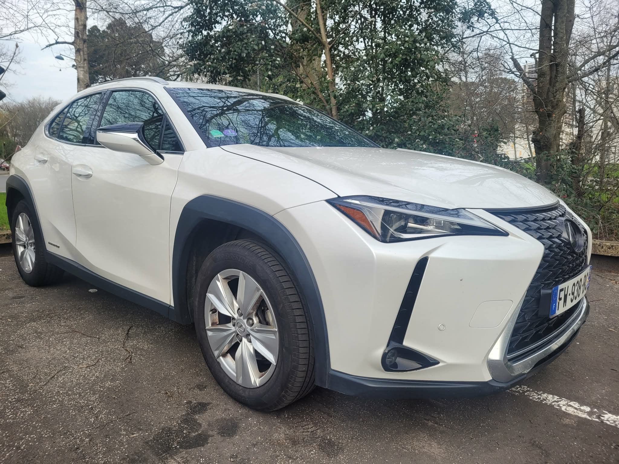 Lexus UX 250h, 2020, Essence 98, automatique