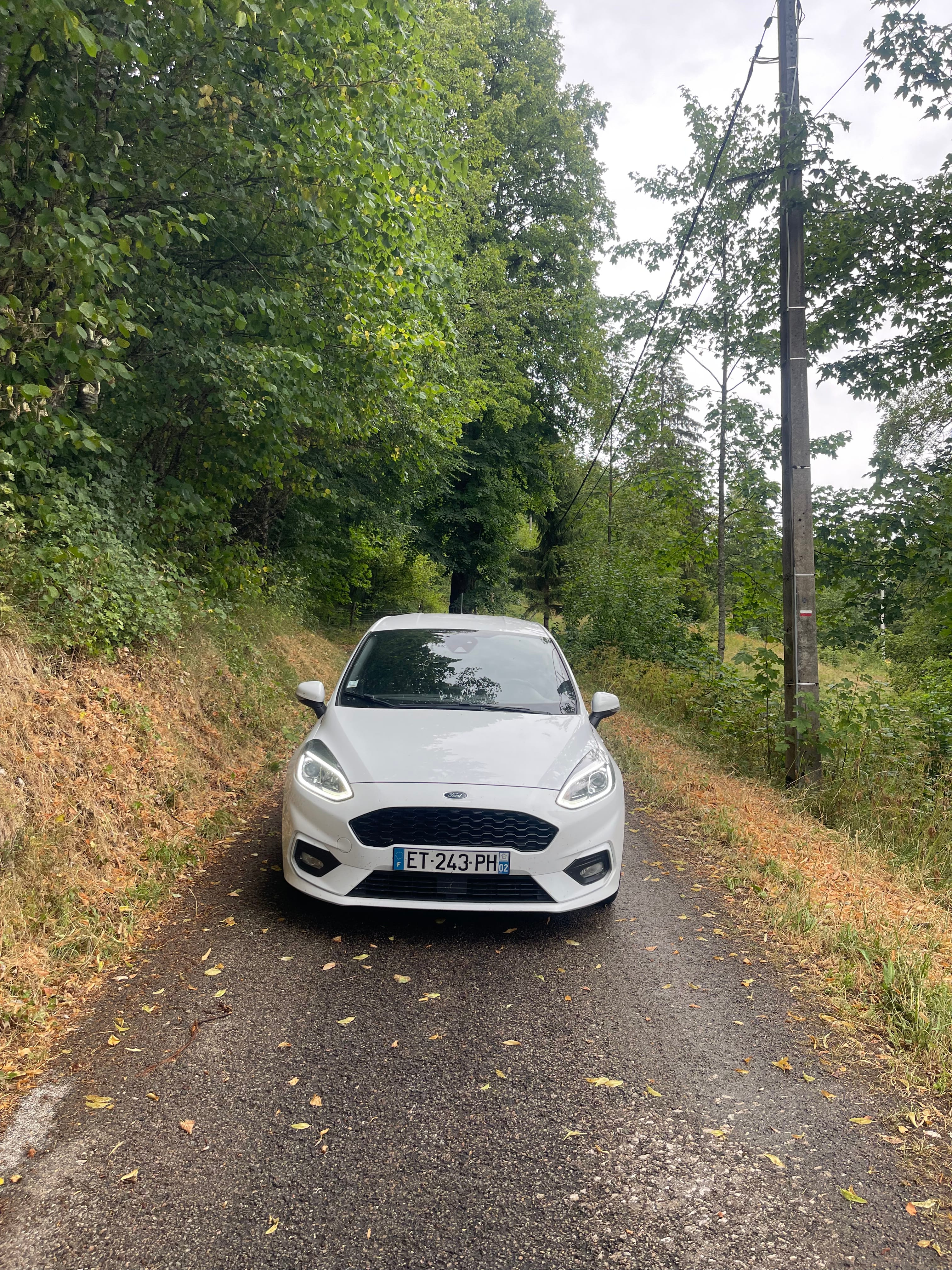 Ford Fiesta 1.0 ecoboost 100ch, 2018, Essence 95