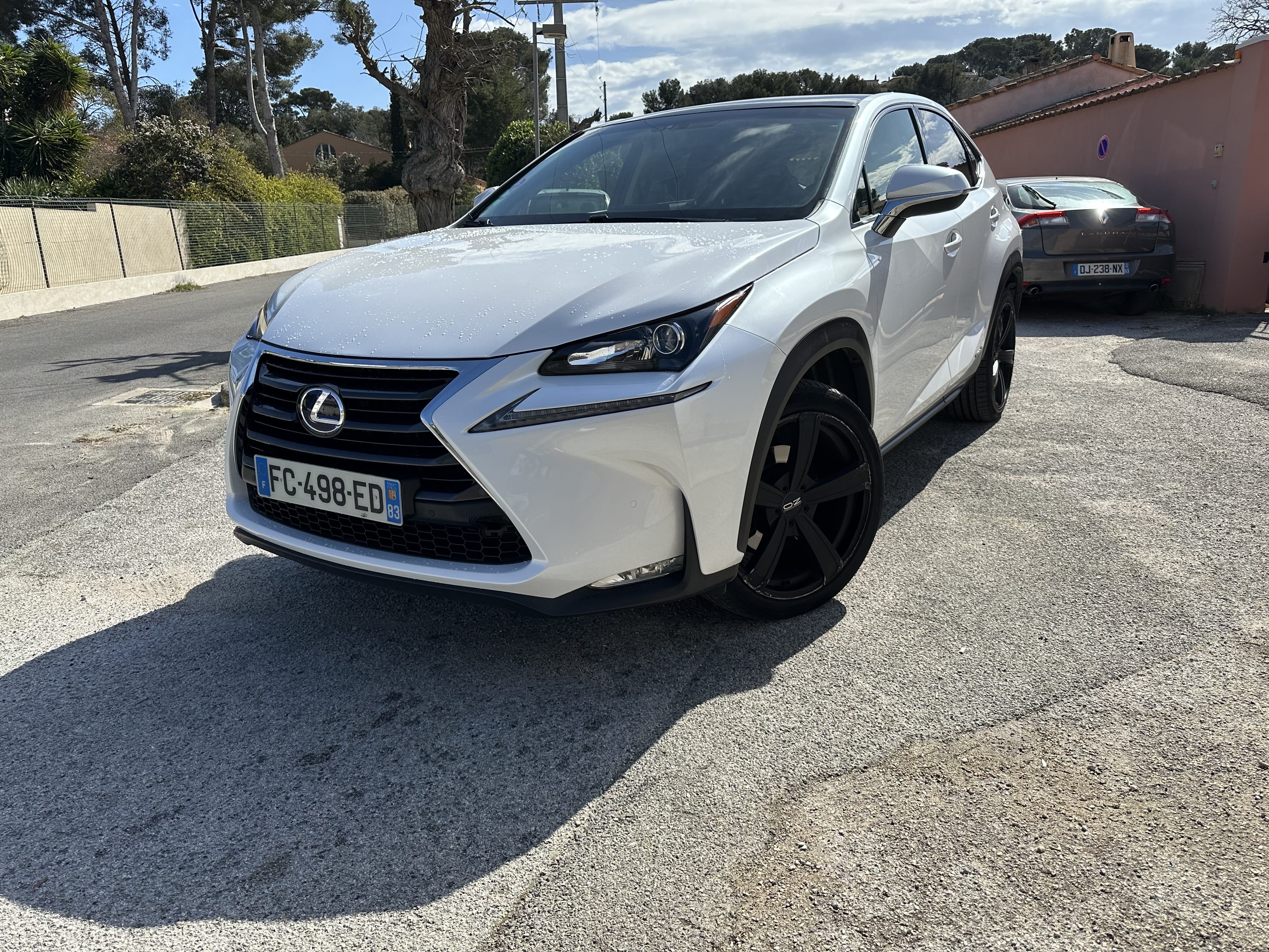 Lexus NX 300h, 2017, Essence 98 / Électrique (hybride), automatique