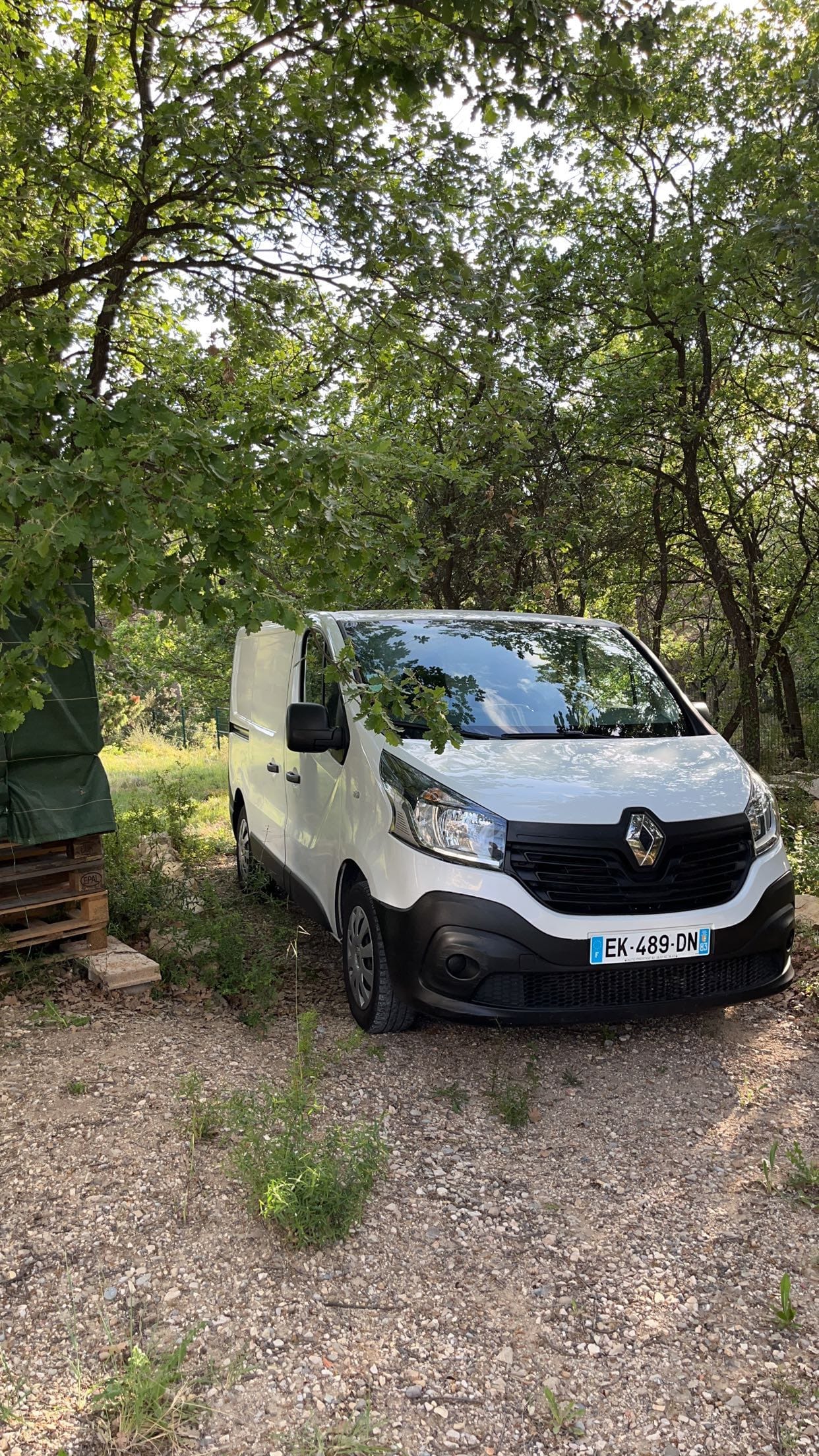 Renault Trafic, 2017, Diesel
