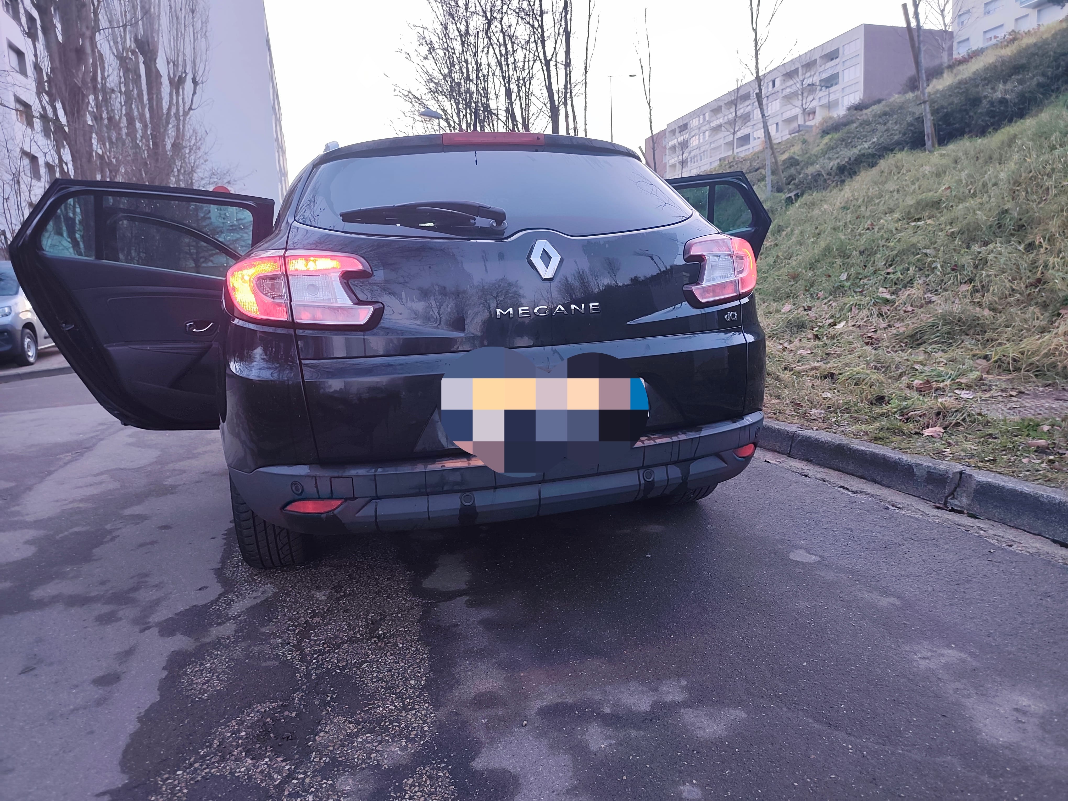 Renault Mégane avec GPS
