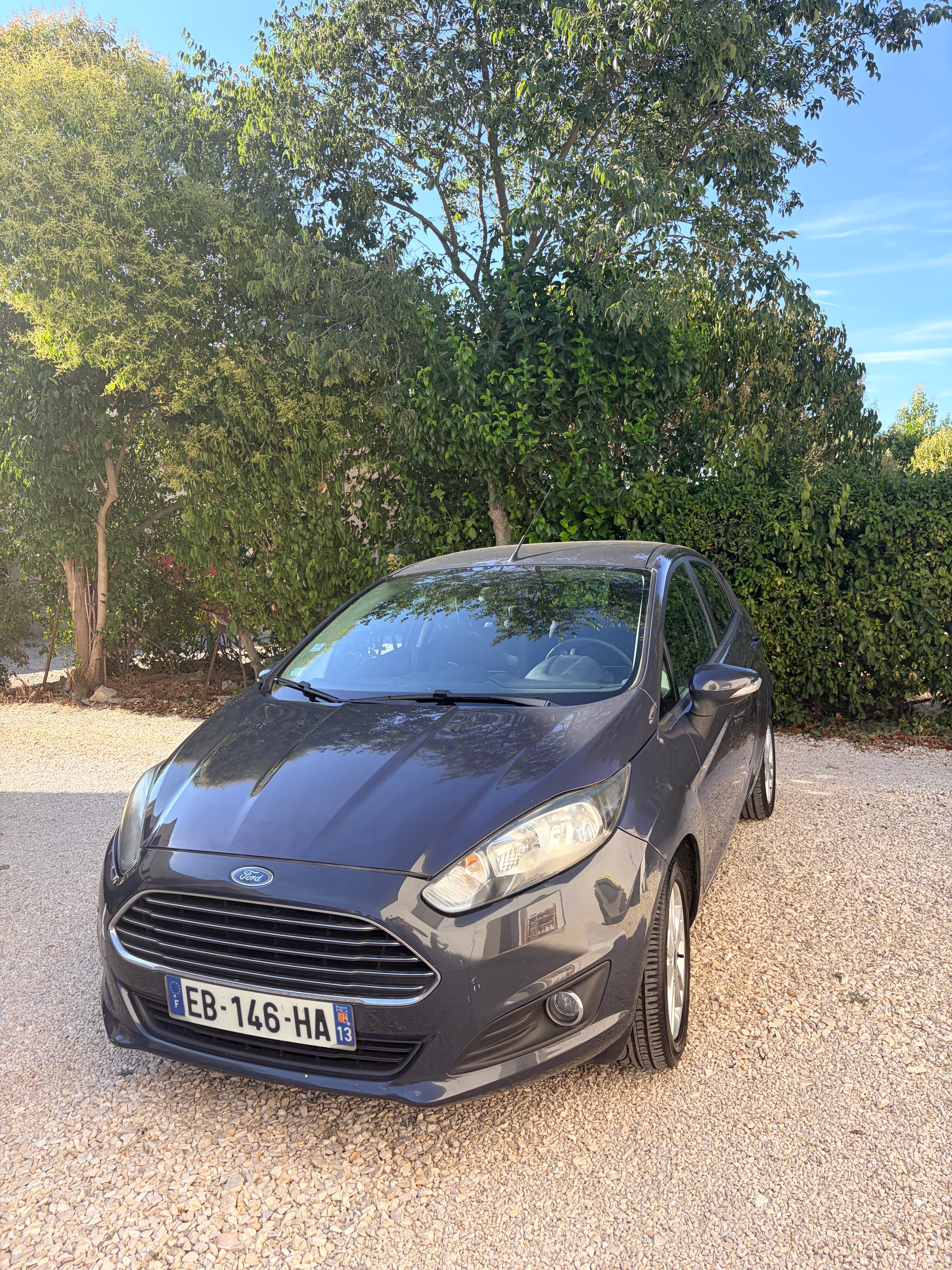 Ford Fiesta, 2014, Essence 95
