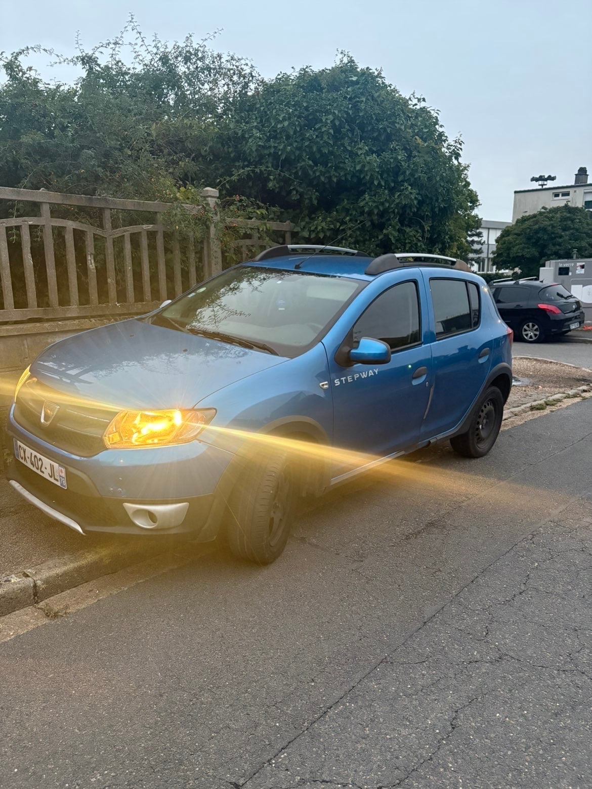 Dacia Sandero Stepway, 2013, Diesel