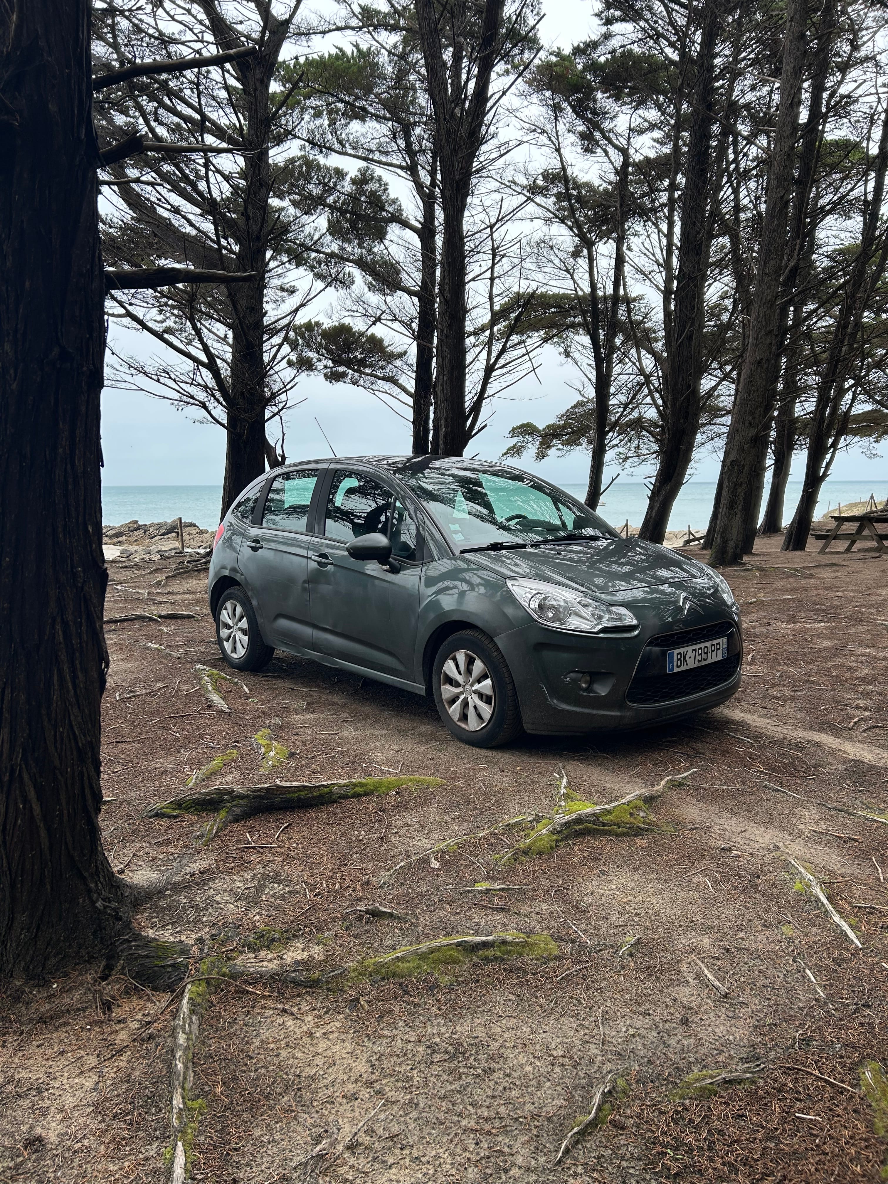 Citroen C3, 2011, Essence 95