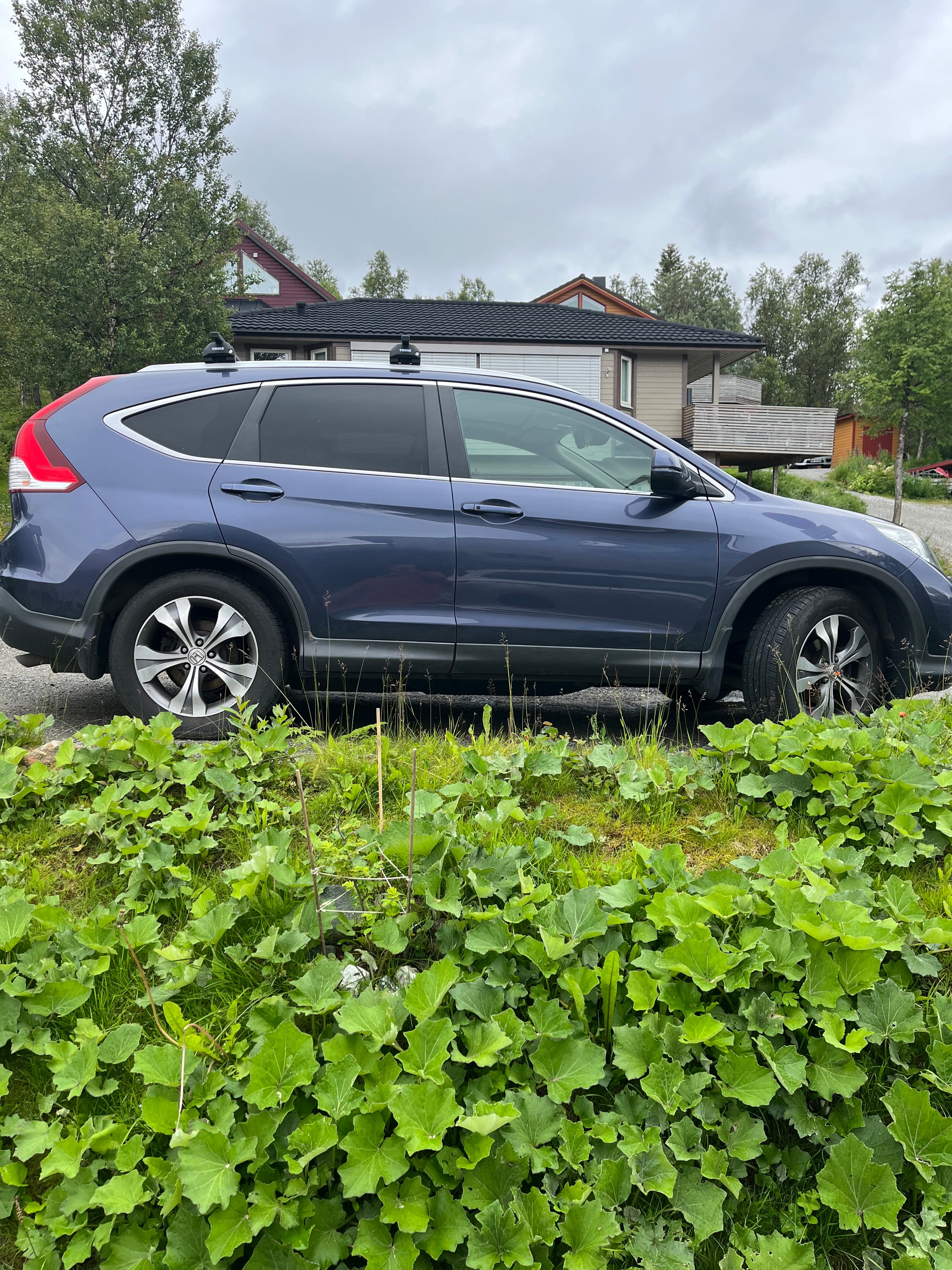 Honda CR-V met Cruise control
