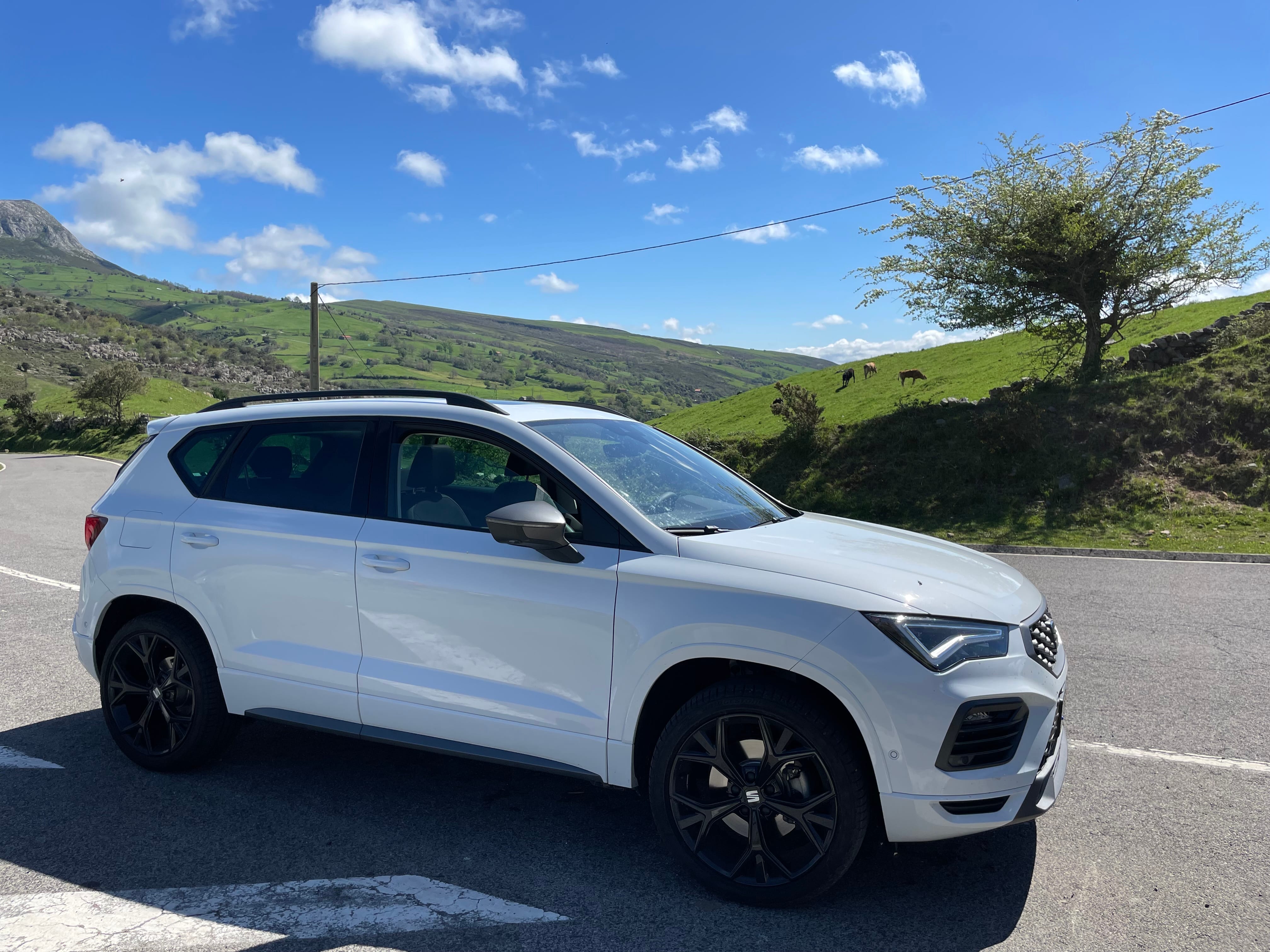 Seat Ateca 1.5 150cv, 2023, Gasolina 95