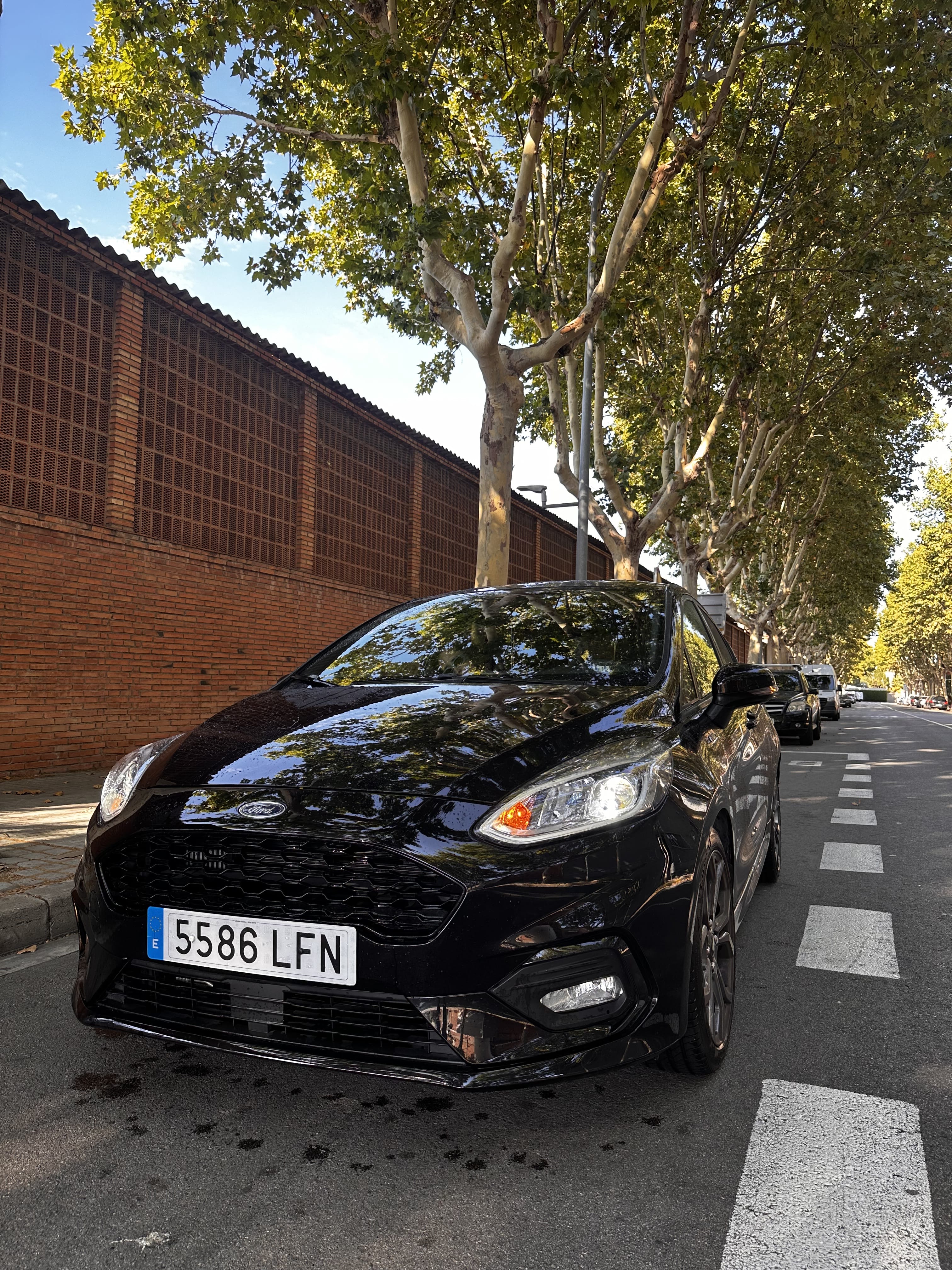 Ford Fiesta ST, 2020, Gasolina 95