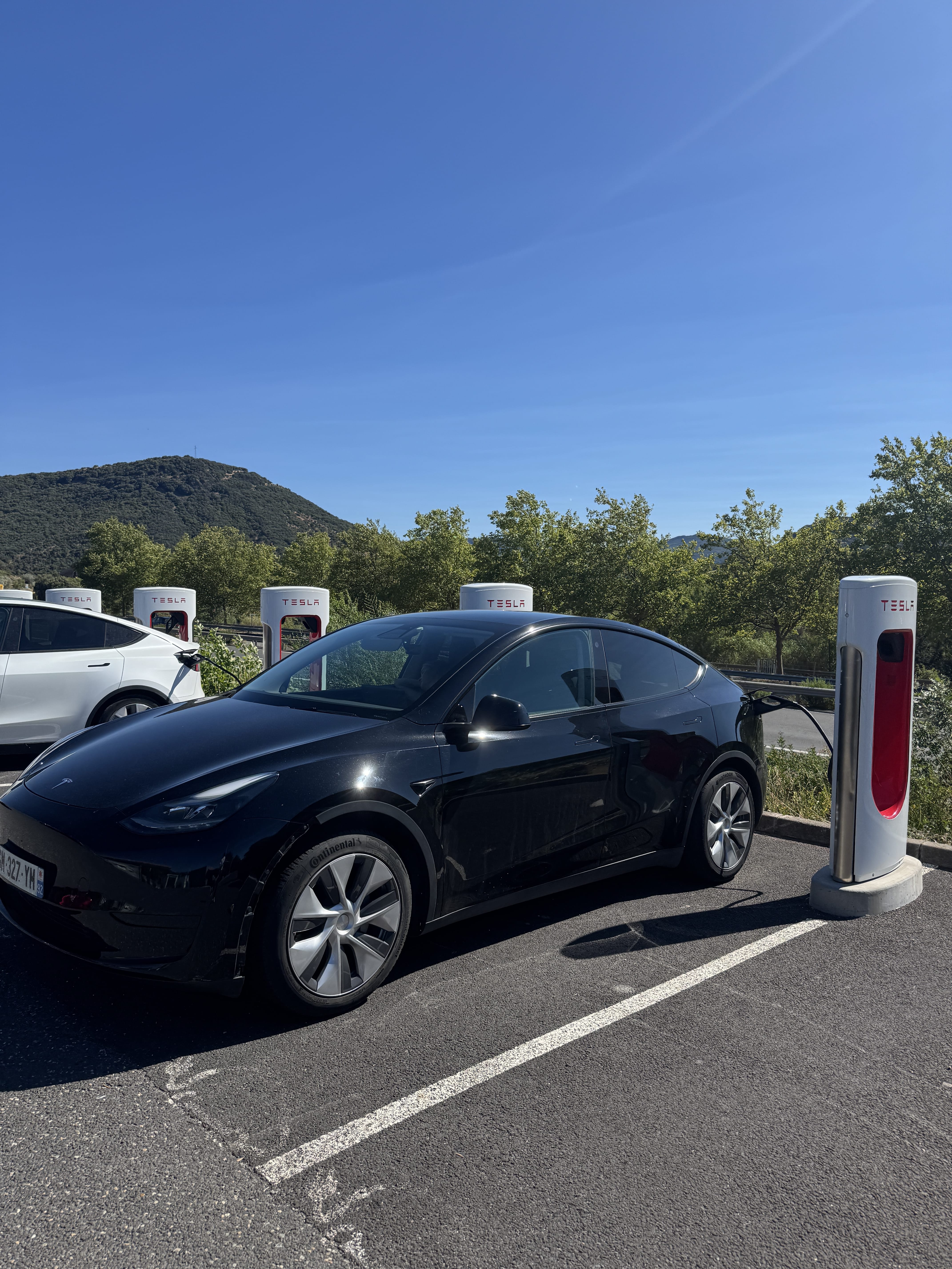 Tesla Model Y Standard Range, 2023, Électrique, automatique