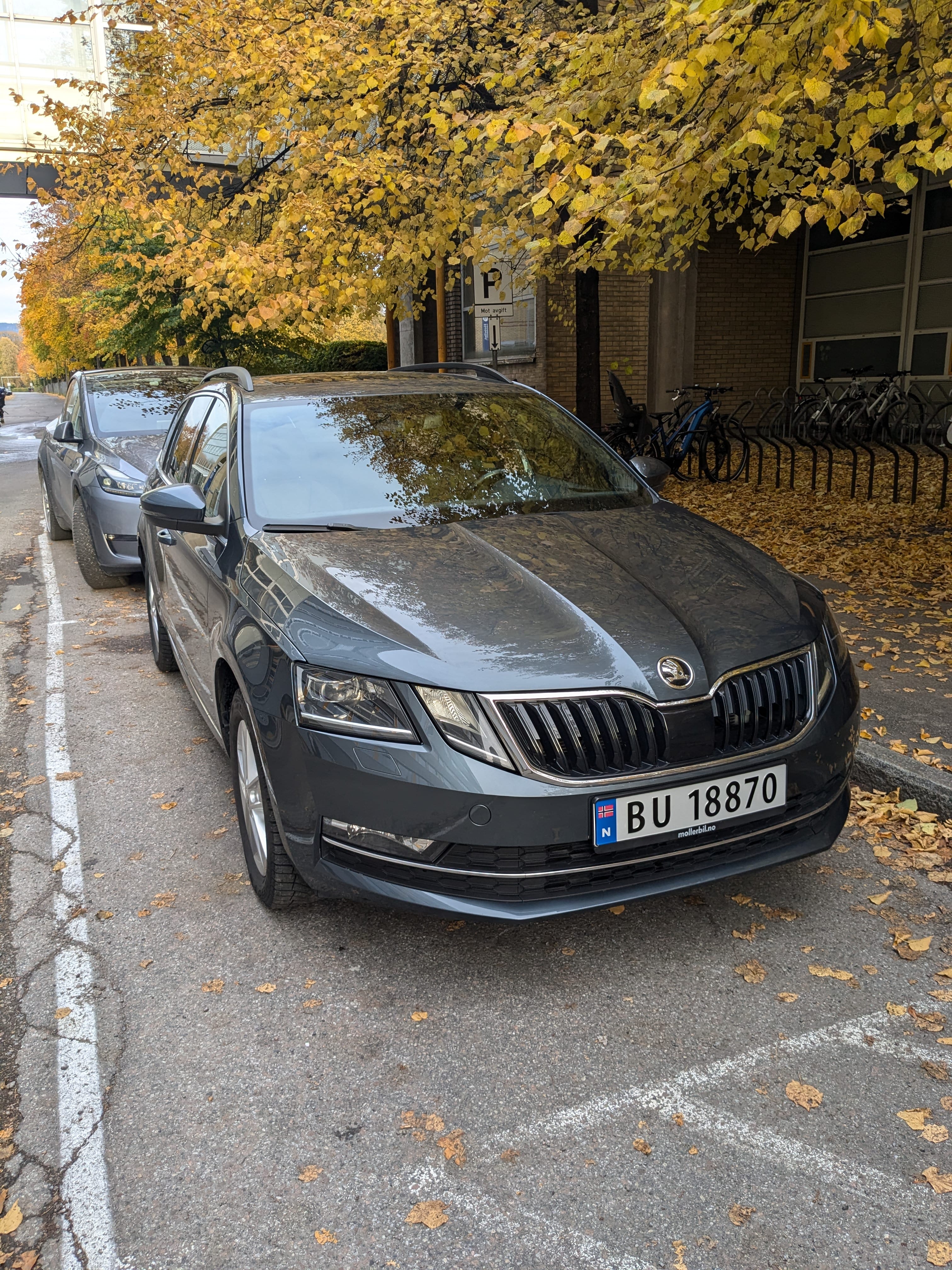 Skoda Octavia 4x4, 2020, Diesel, automatisk