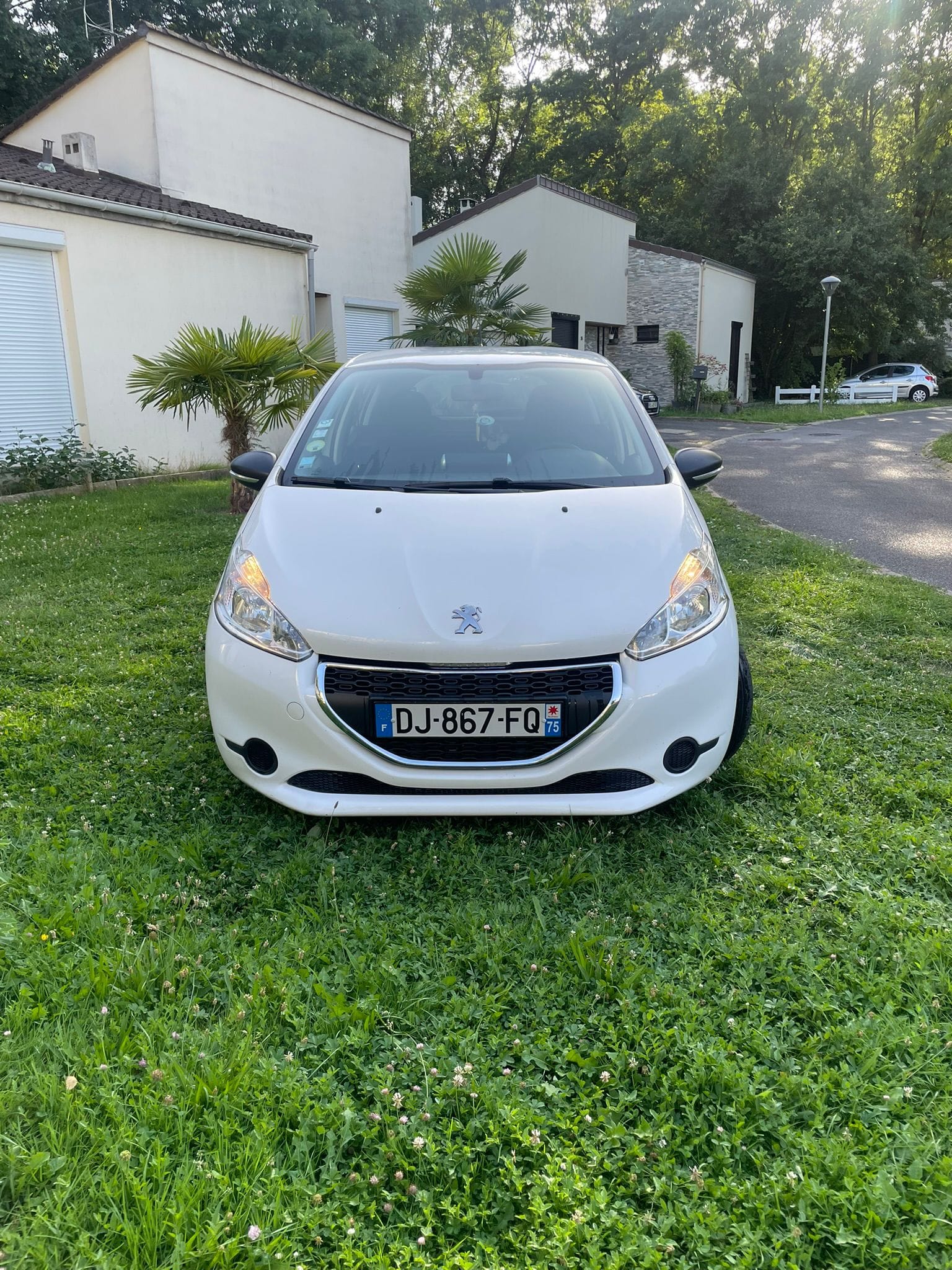 Peugeot 208 Société
