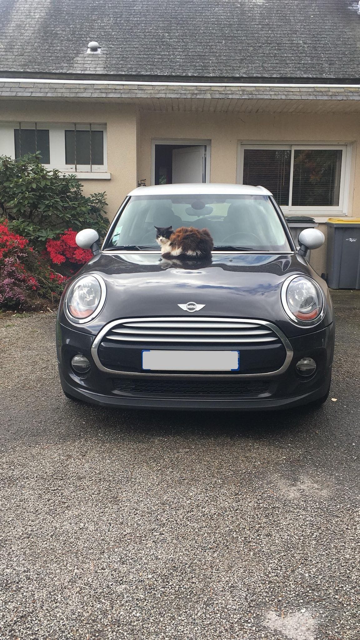 Mini Cooper SD, 2015, Diesel