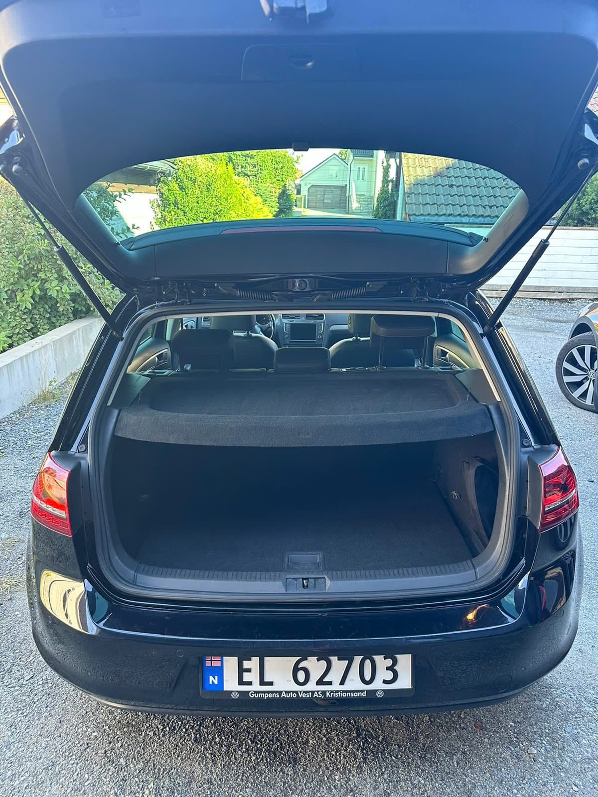 Volkswagen e-Golf med Ryggekamera