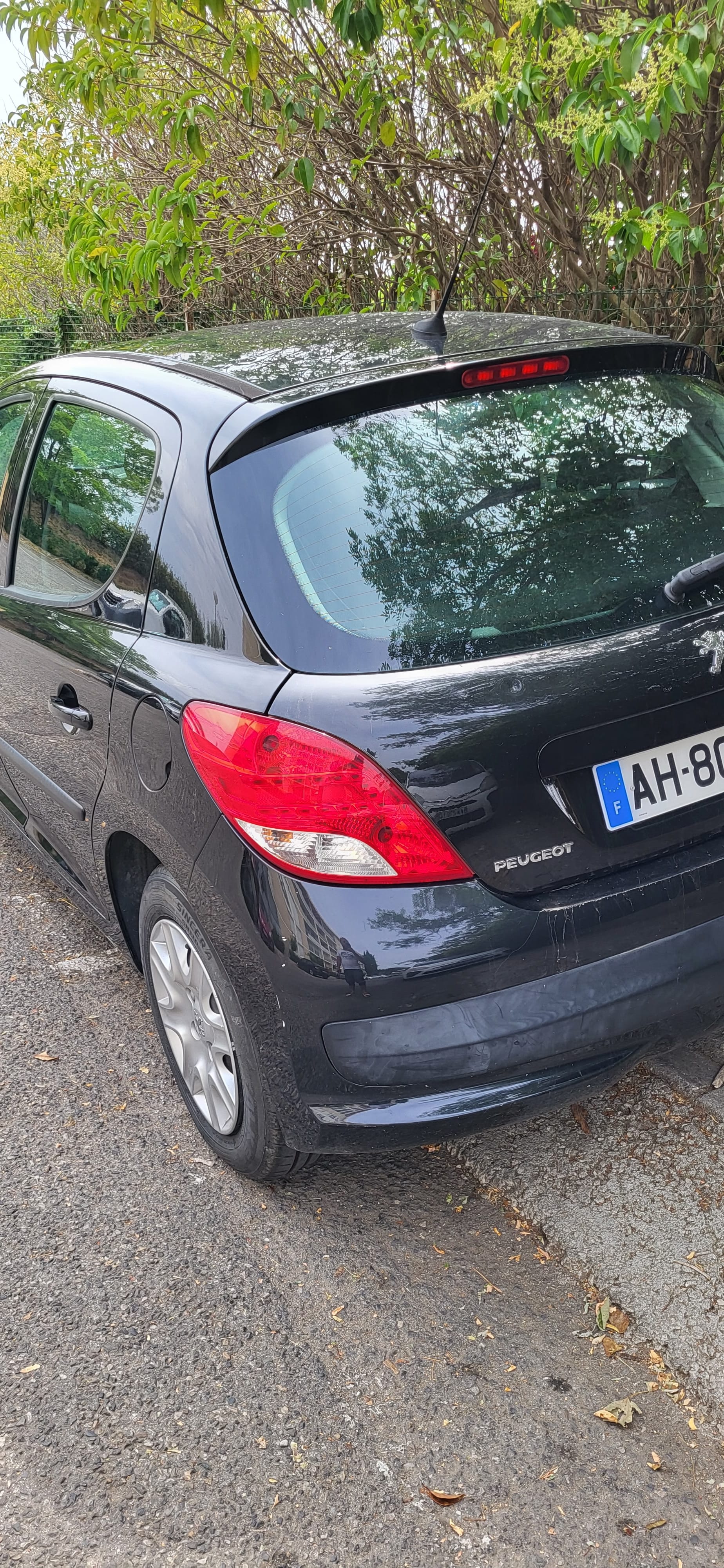 Peugeot 207 avec GPS