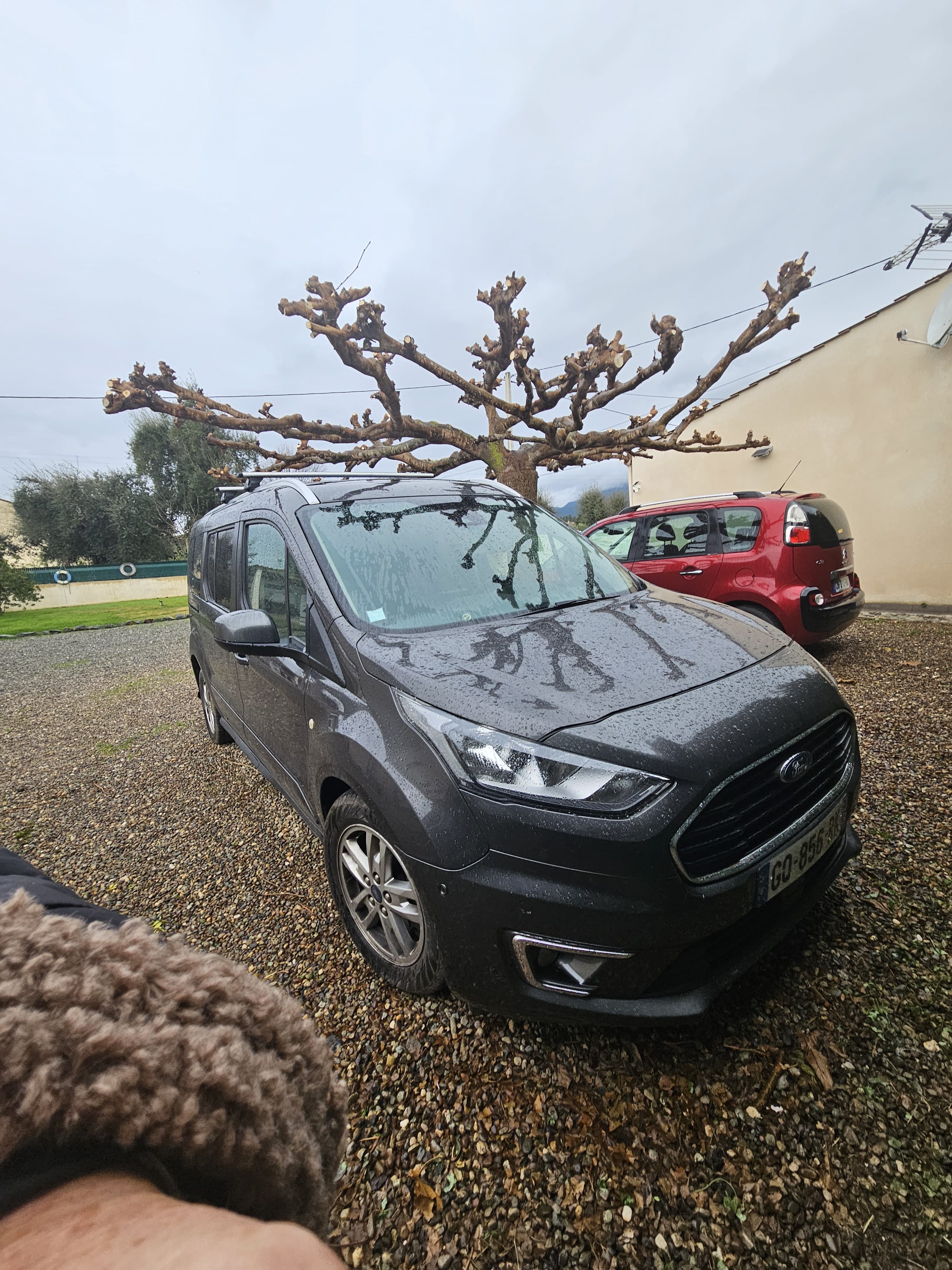Ford Tourneo Connect Grand 7 places, 2021, Diesel, automatique, 7 places