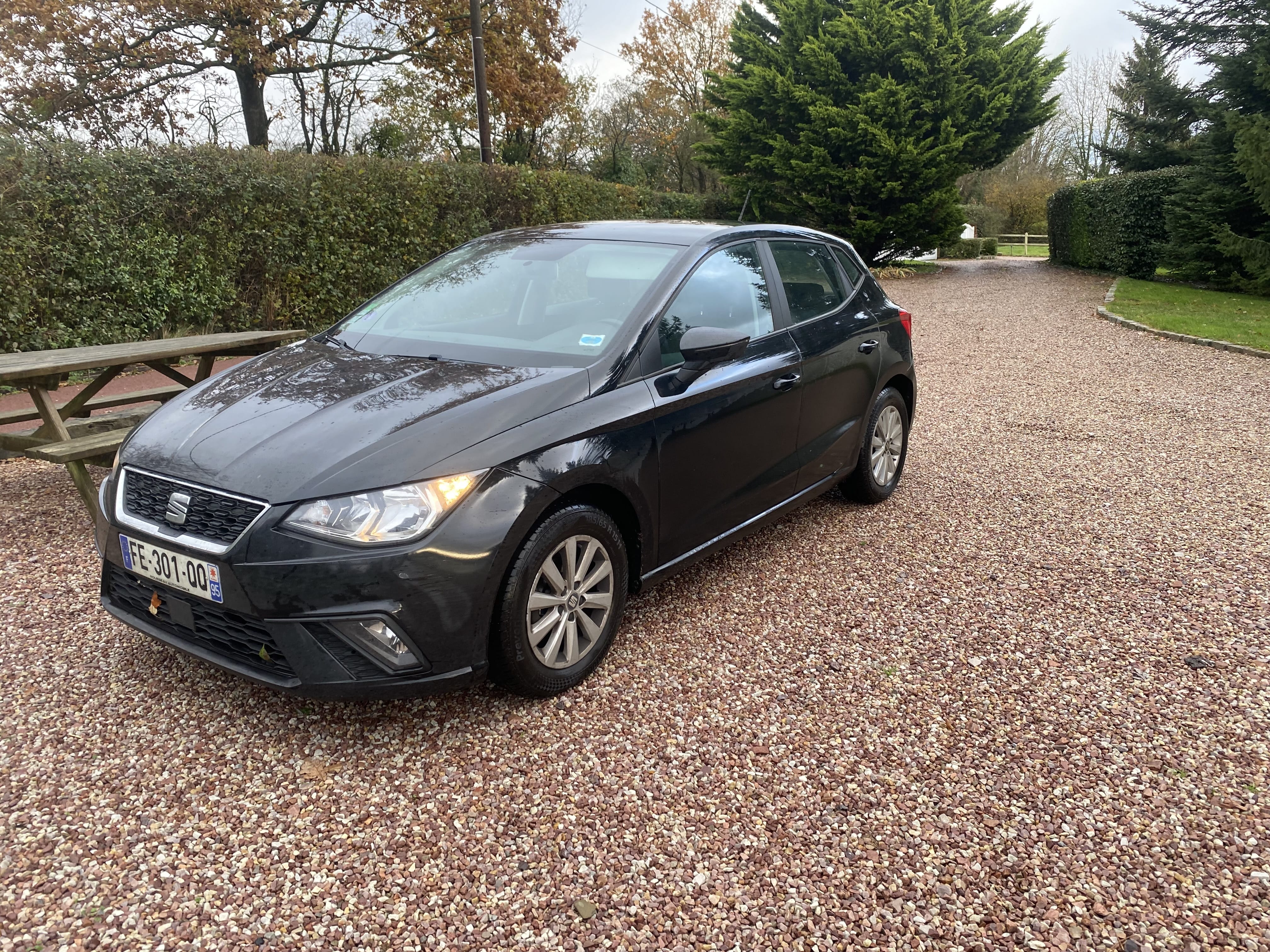 Seat Ibiza, 2018, Essence 95