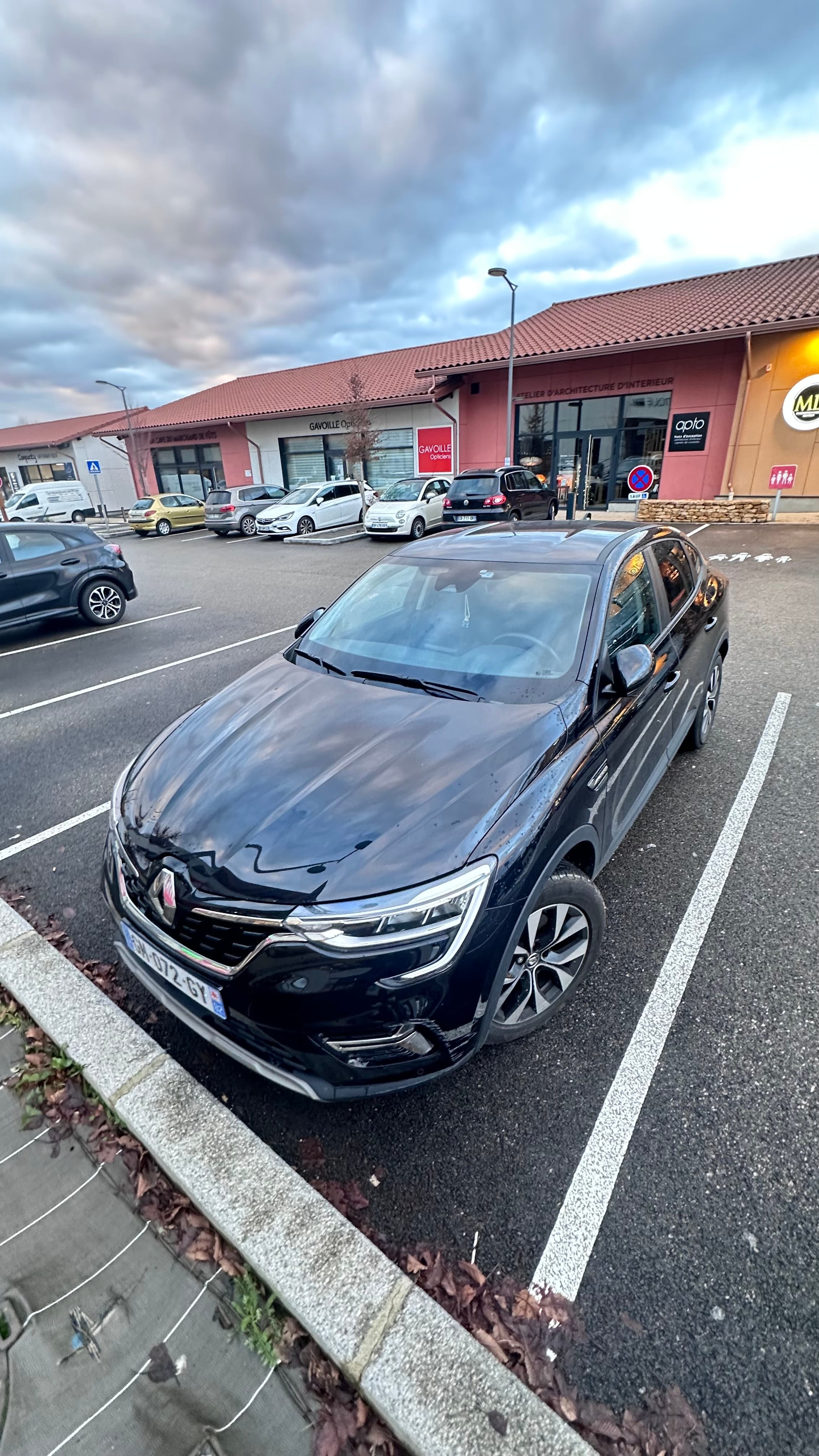 Renault Arkana Business, 2023, Essence 95 / Électrique (hybride), automatique