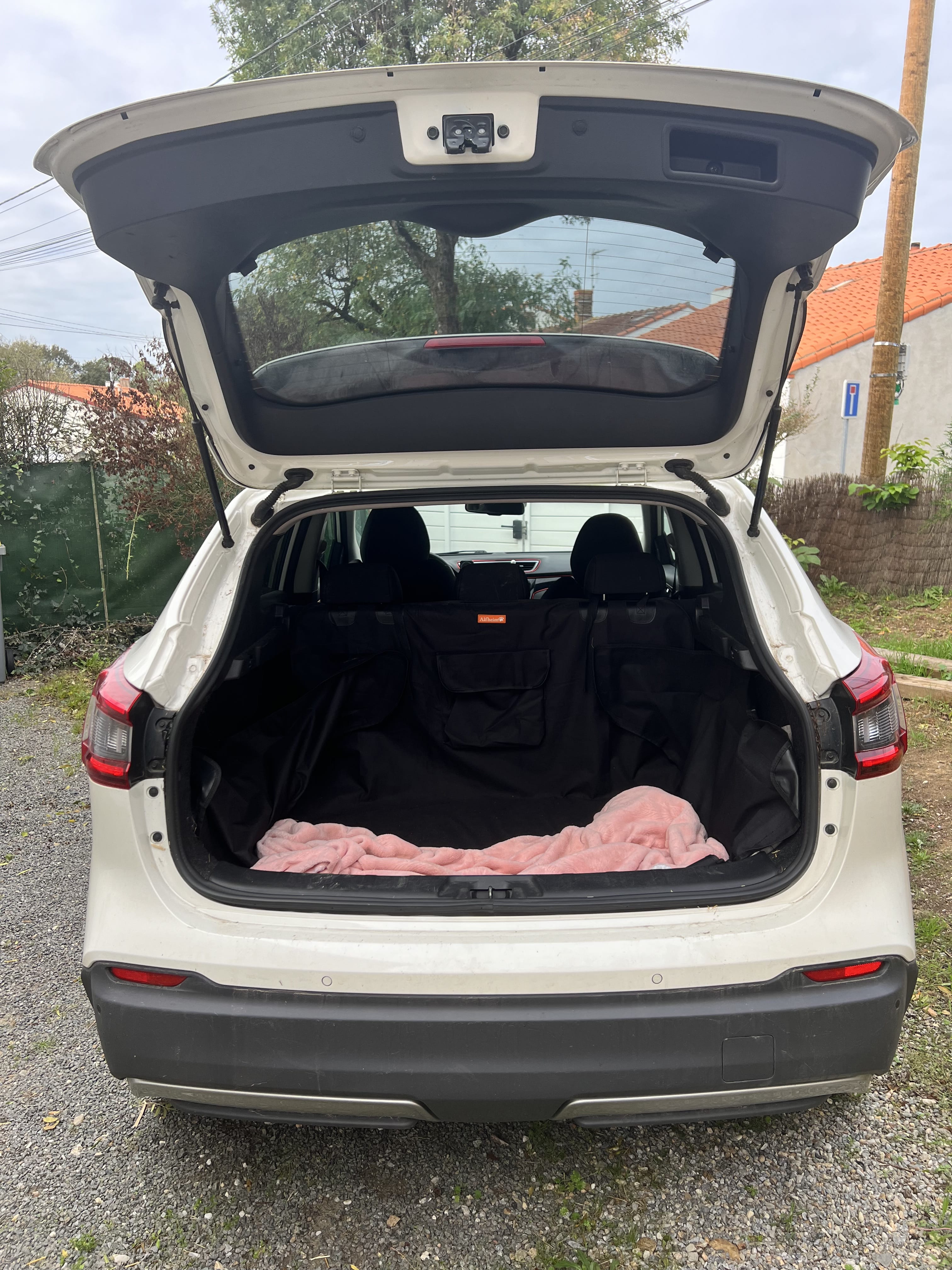 Nissan Qashqai avec Régulateur de vitesse