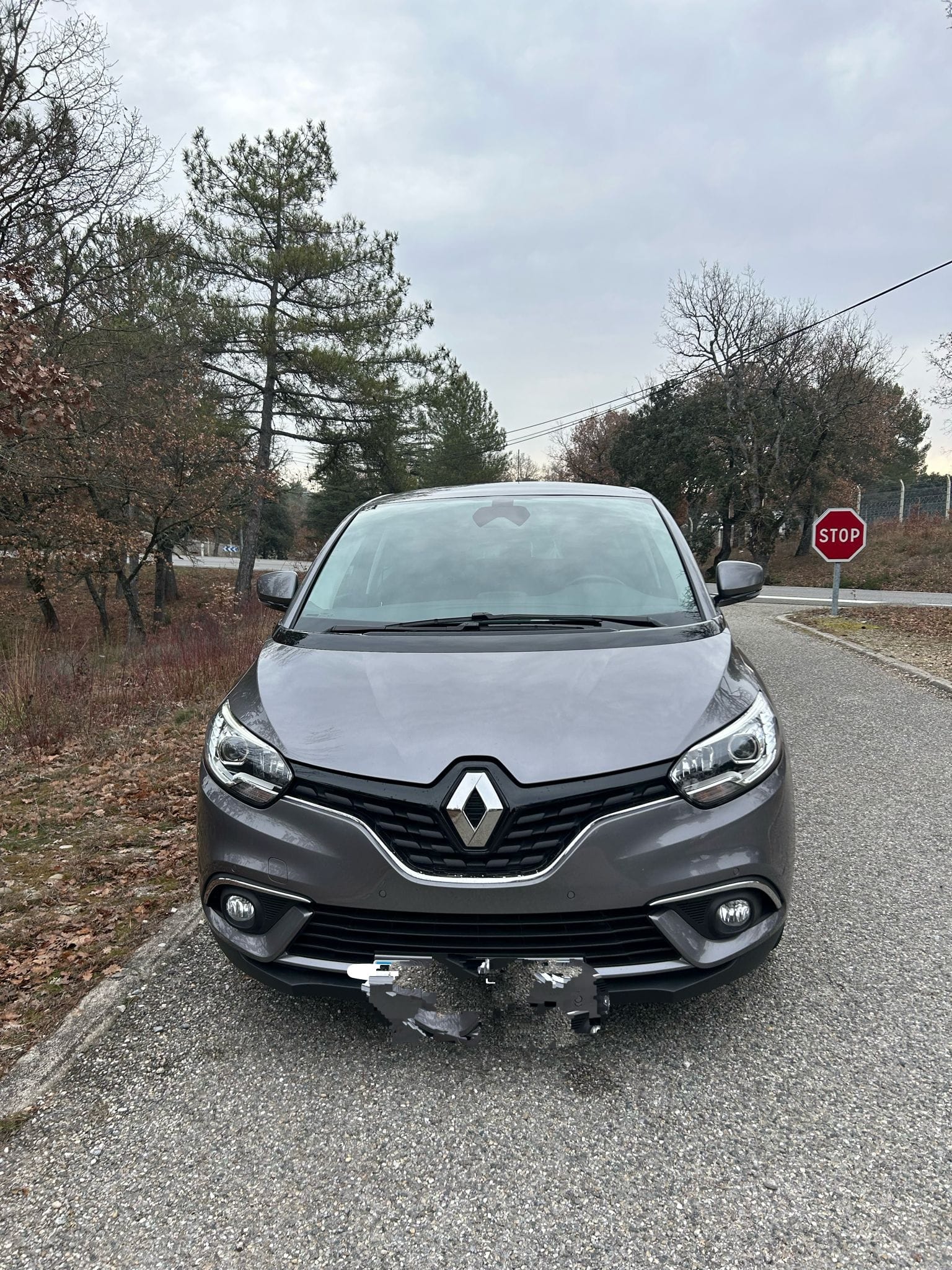 Renault Scenic, 2021, Diesel