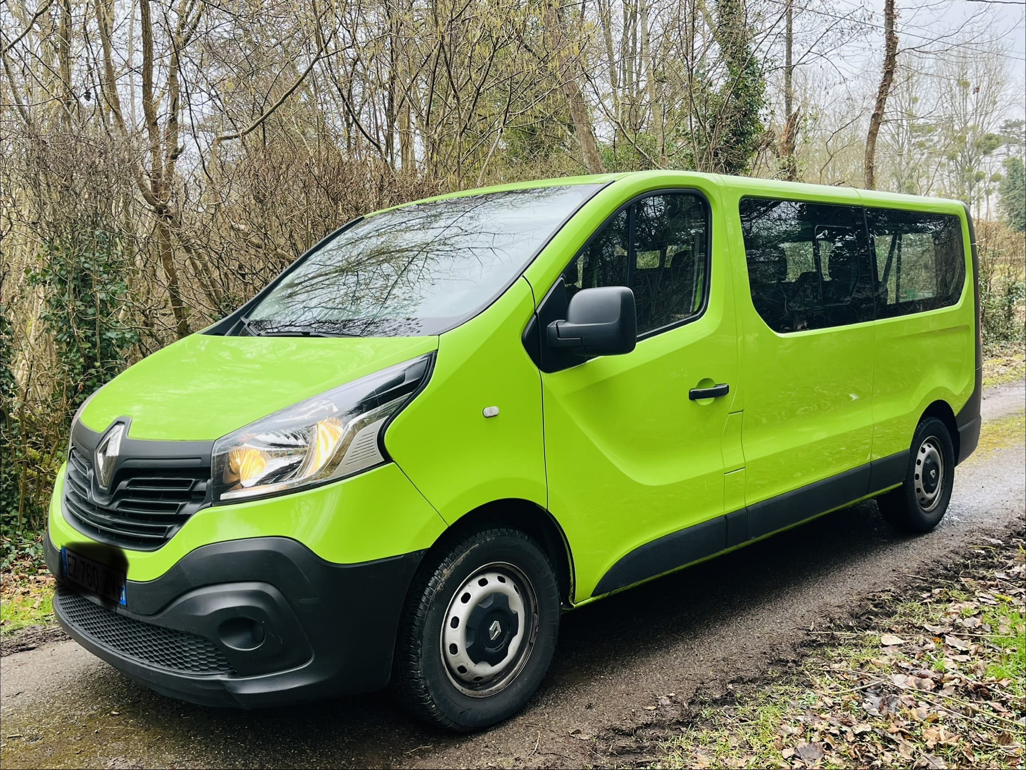 Renault Trafic Passenger, 2018, Diesel, 9 places et plus