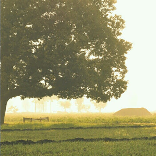 Luqmân