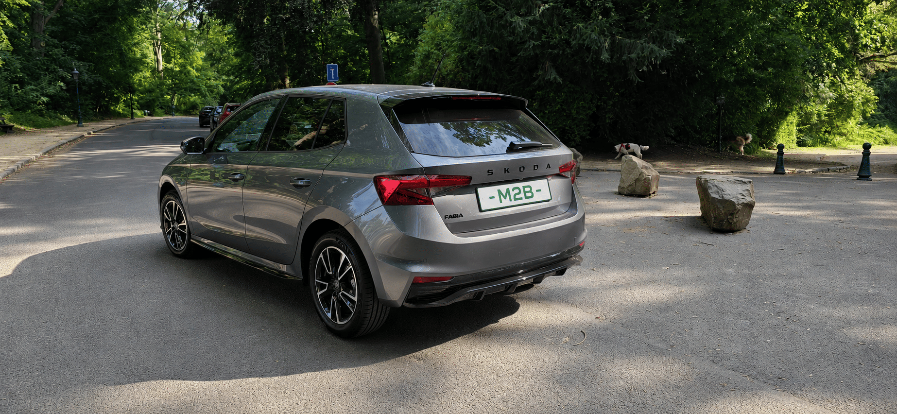 Skoda Fabia con Cámara de marcha atrás