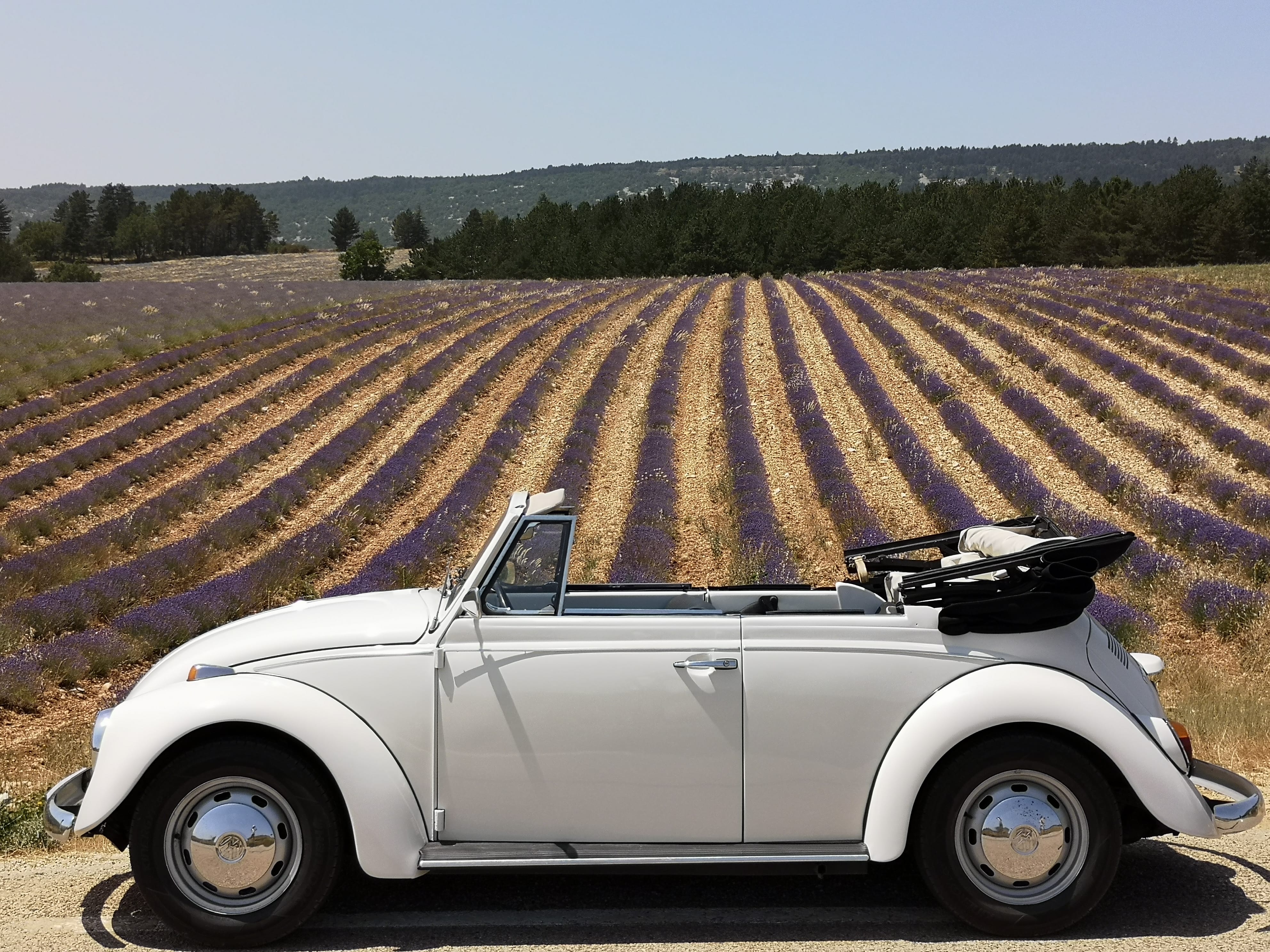 Volkswagen Coccinelle Cabriolet