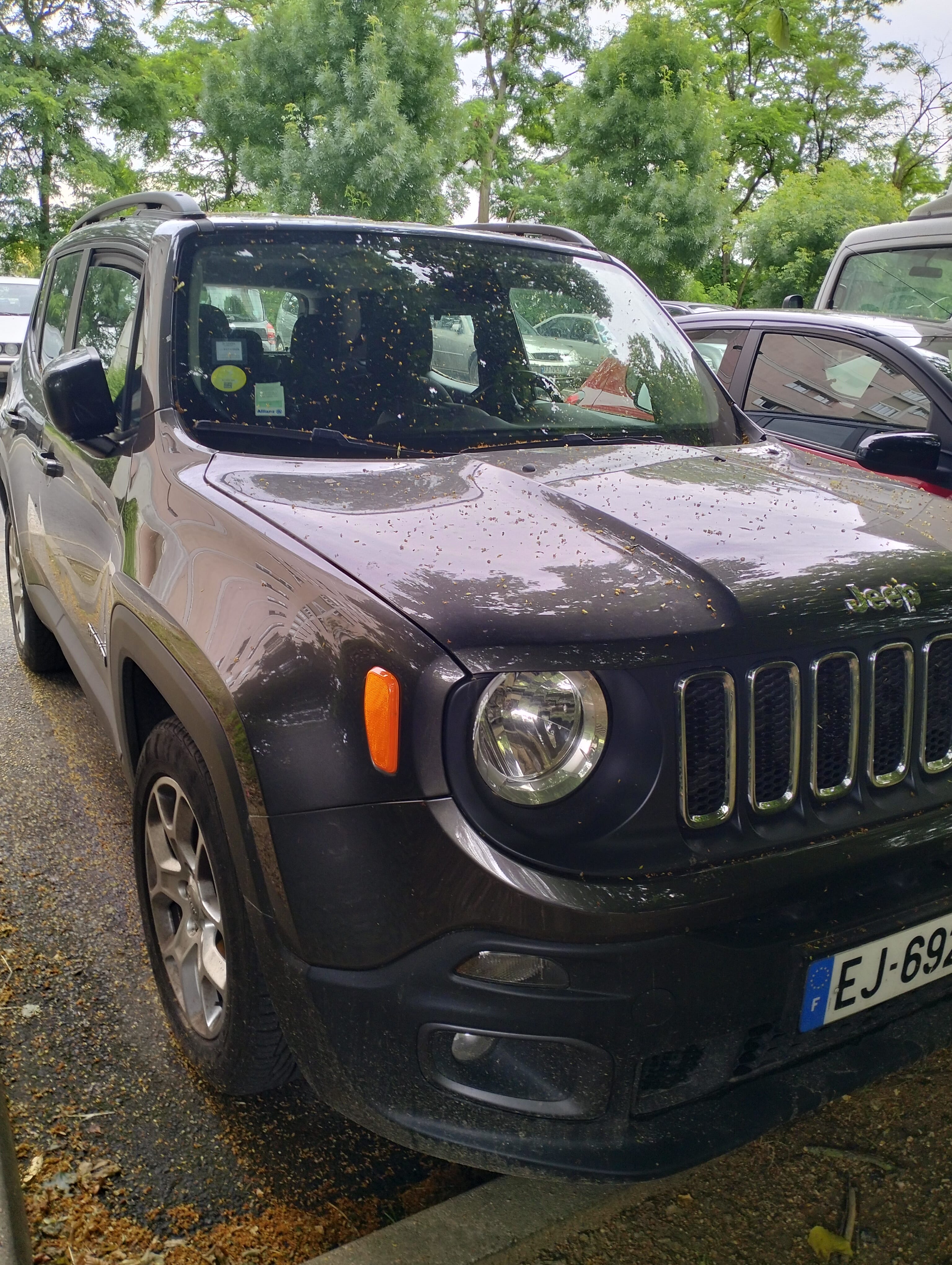 Jeep Renegade, 2017, Diesel