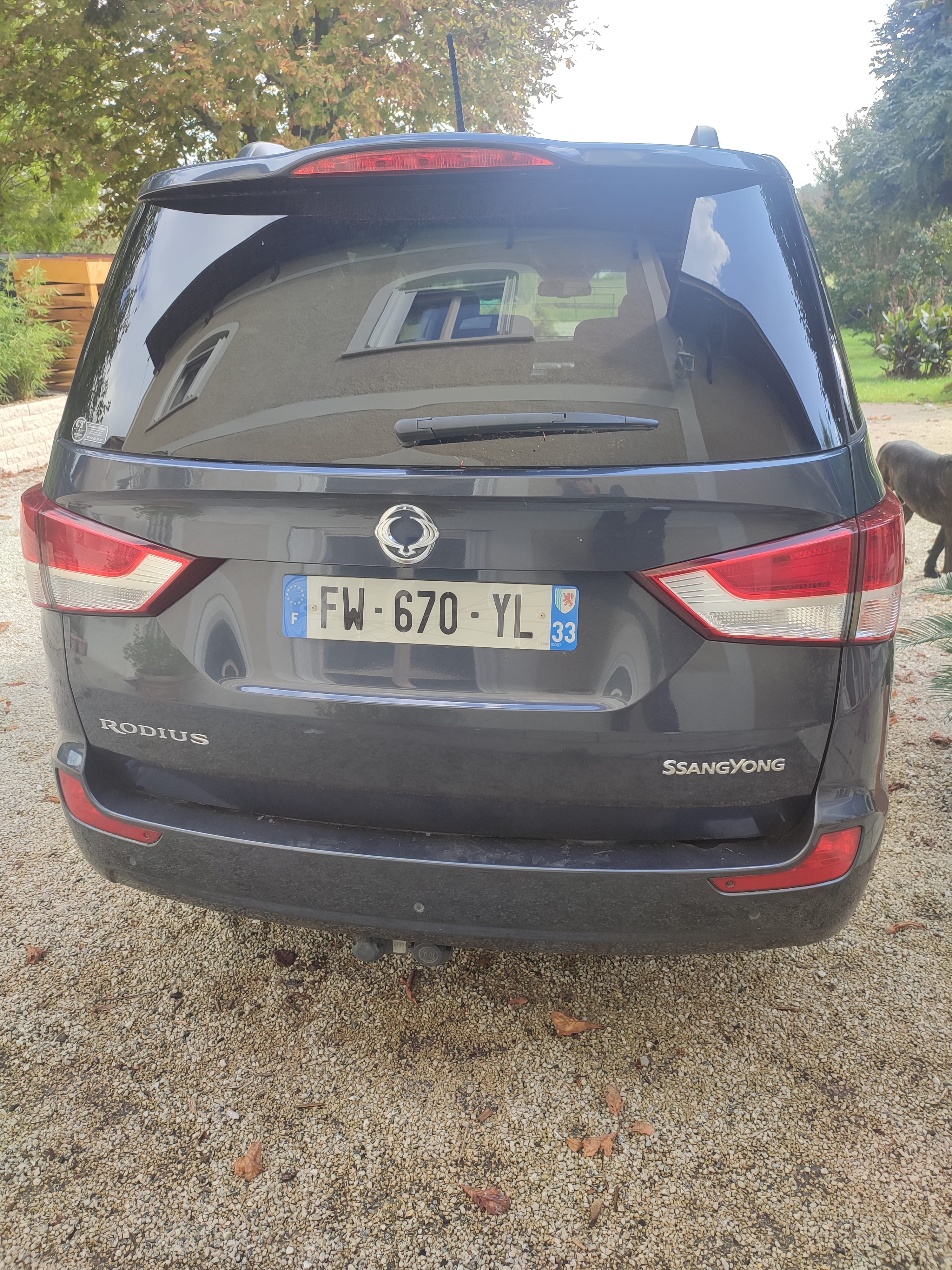 Ssangyong Rodius avec Audio Bluetooth