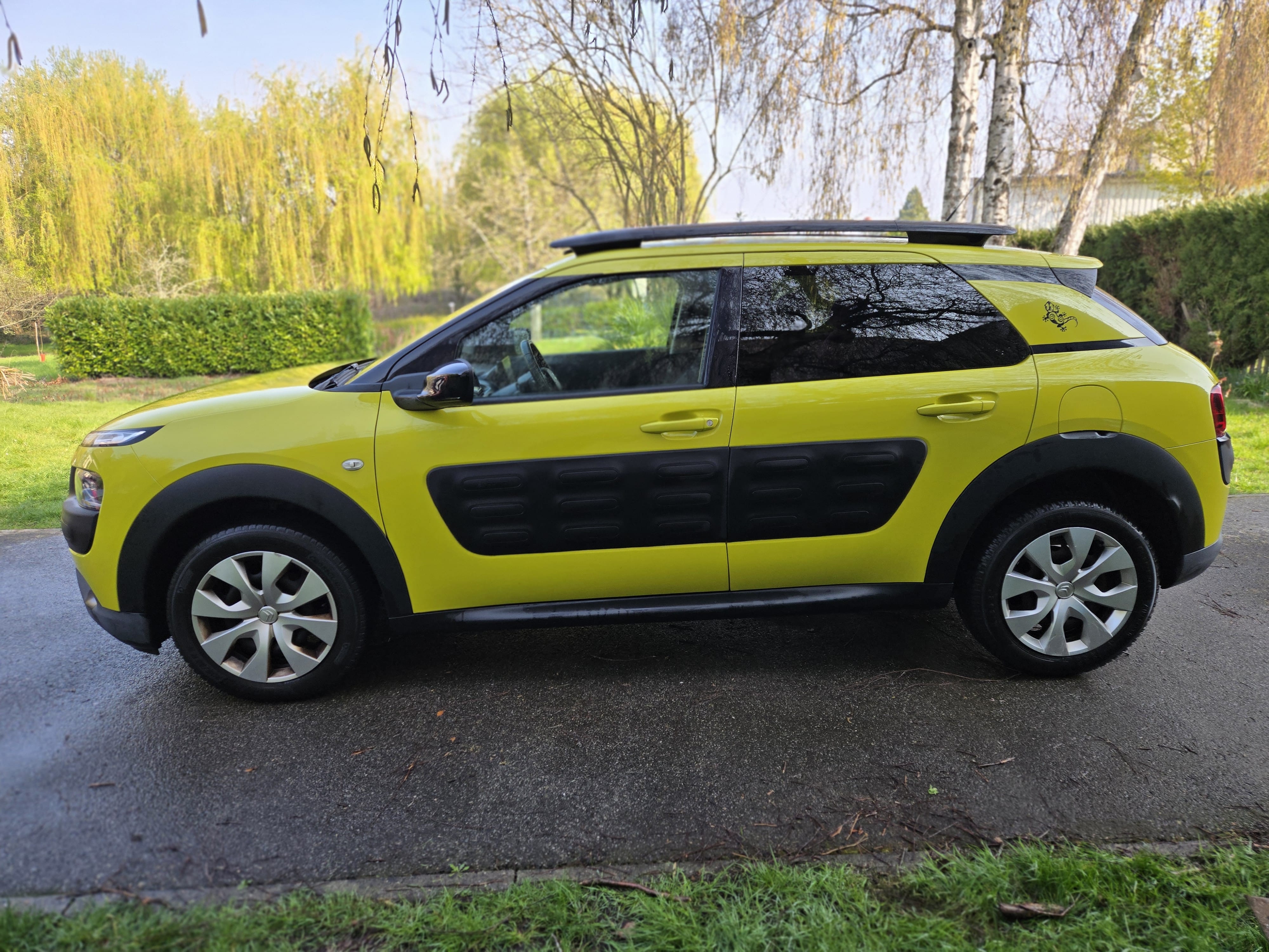 Citroen C4 Cactus avec Climatisation