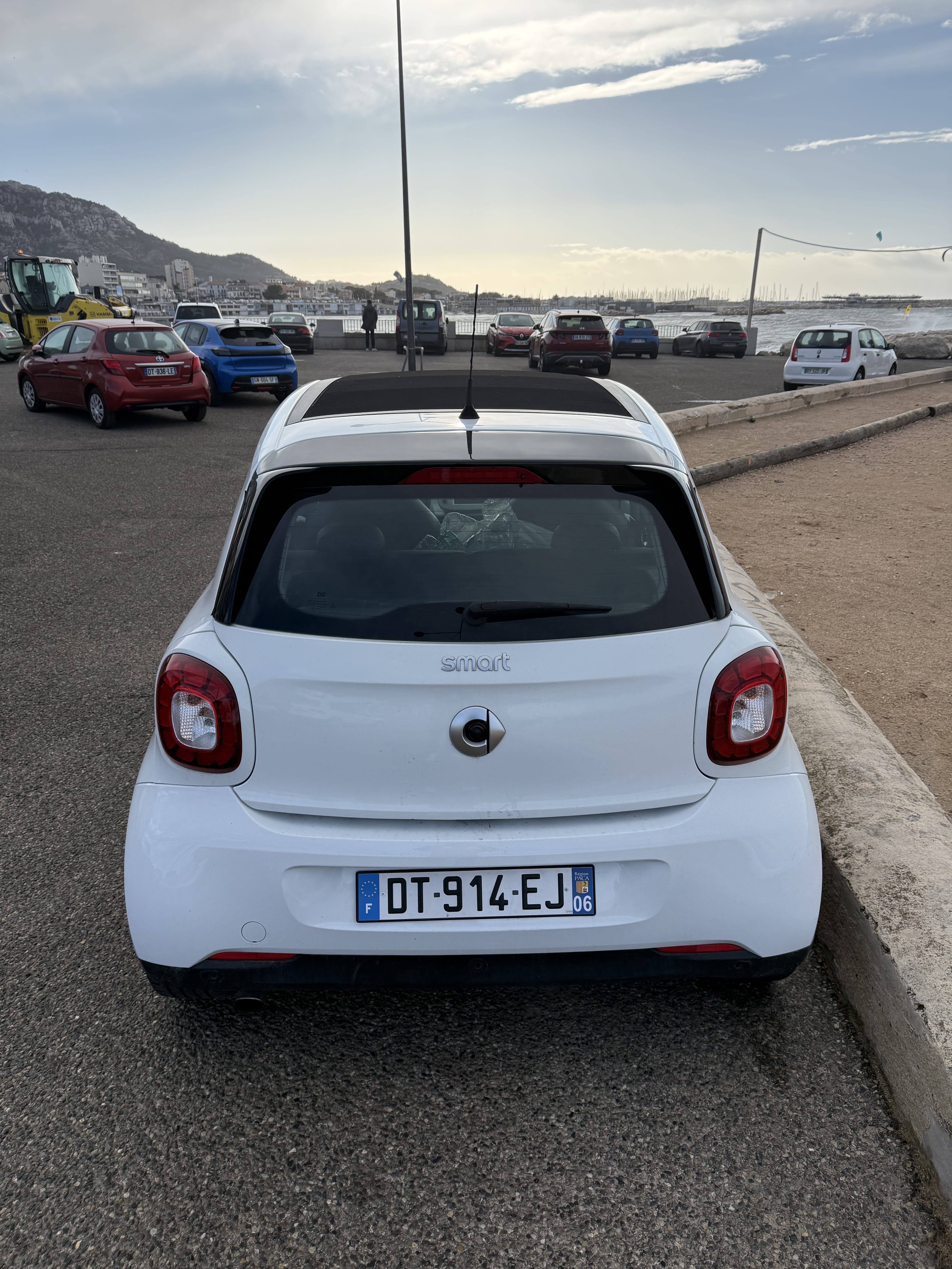 Smart Forfour con Cámara de marcha atrás