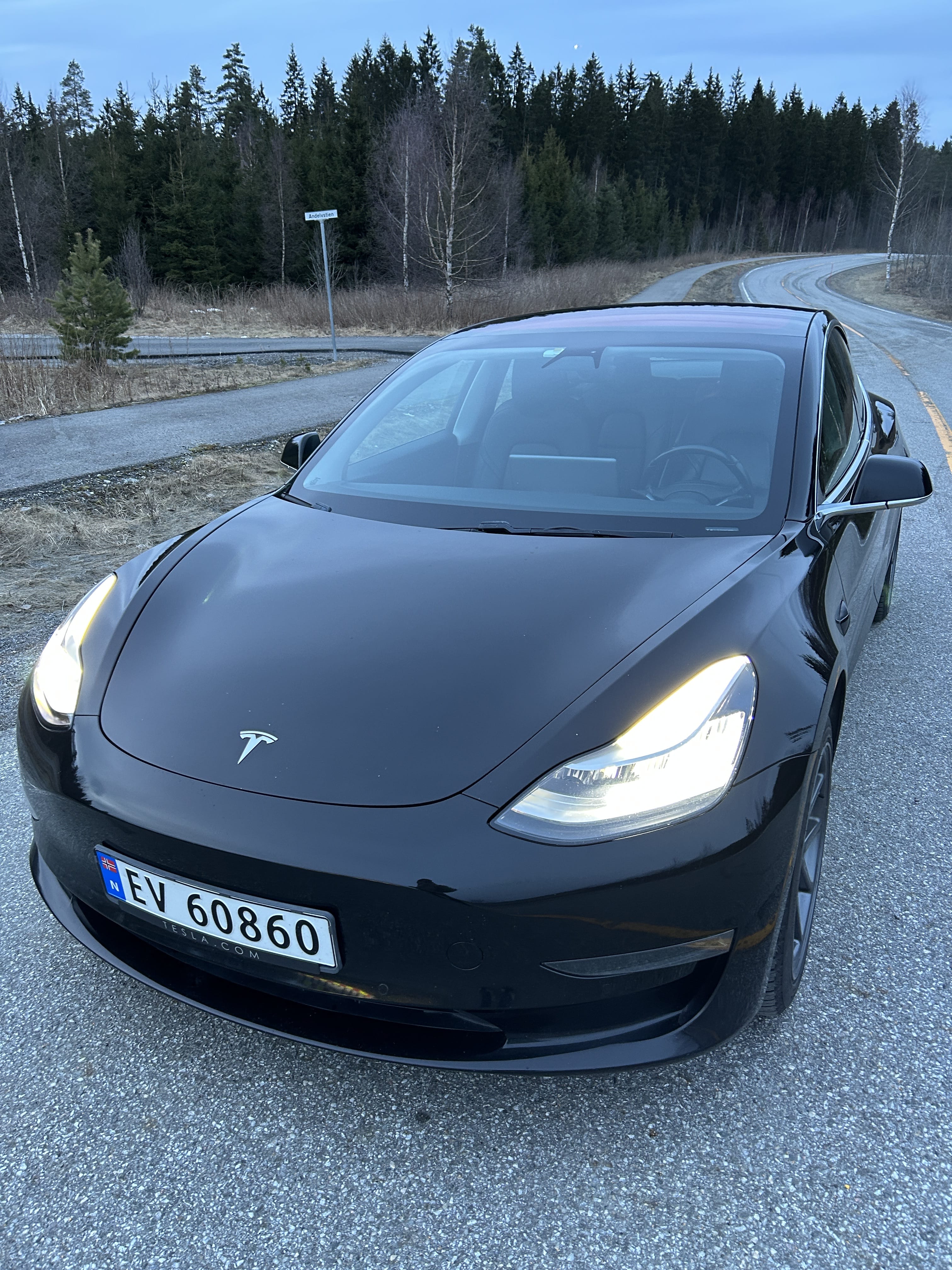 Tesla Model 3 Long Range, 2019, Elektrisk, automatisk