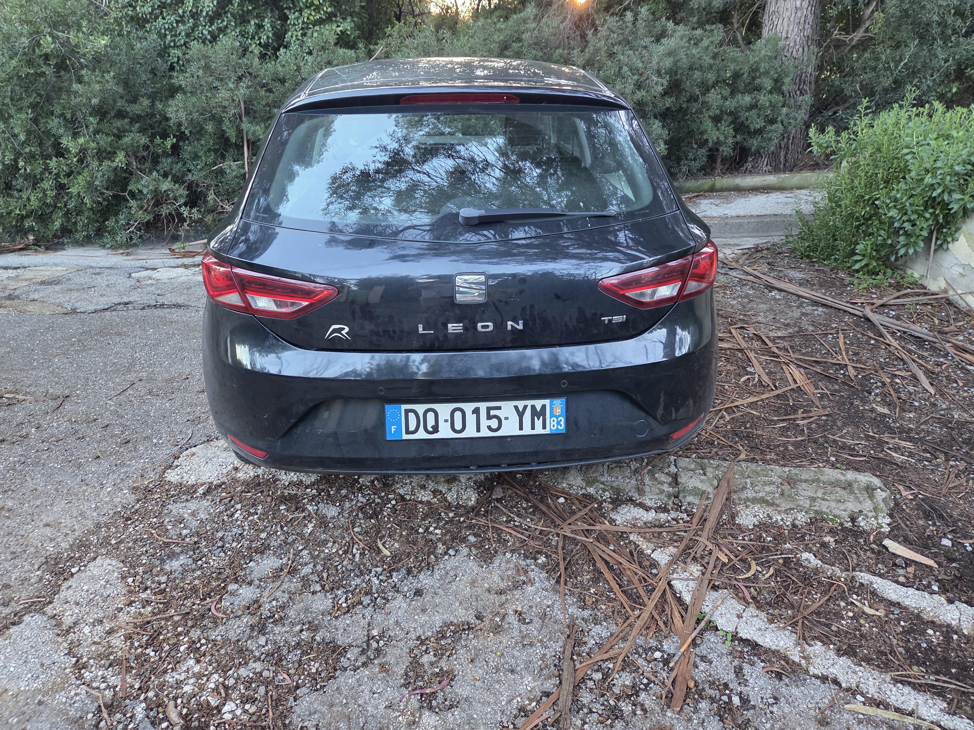 Seat Leon Bioéthanol E85 avec Siège bébé