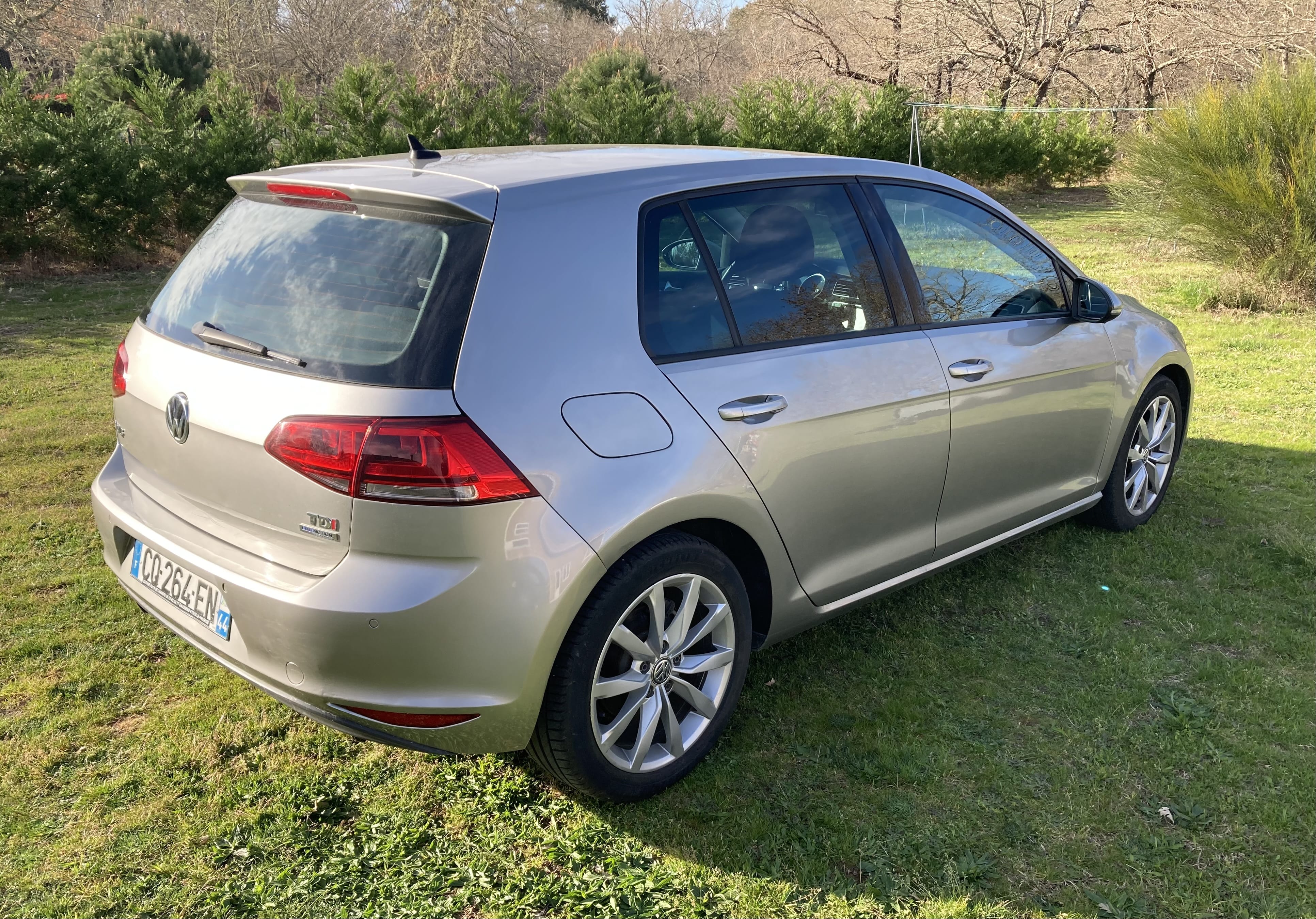 Volkswagen Golf Carat TDI avec Climatisation