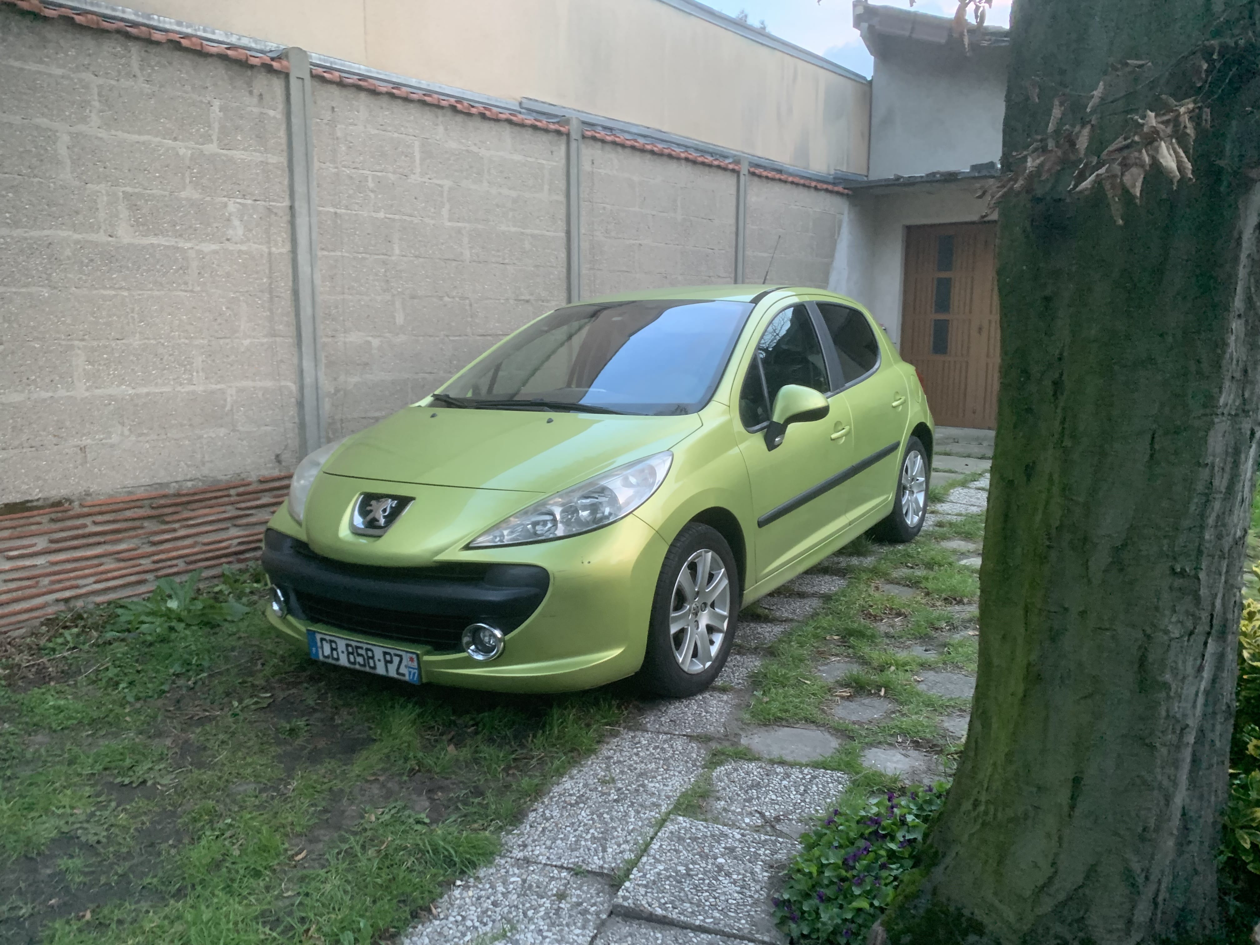 Peugeot 207