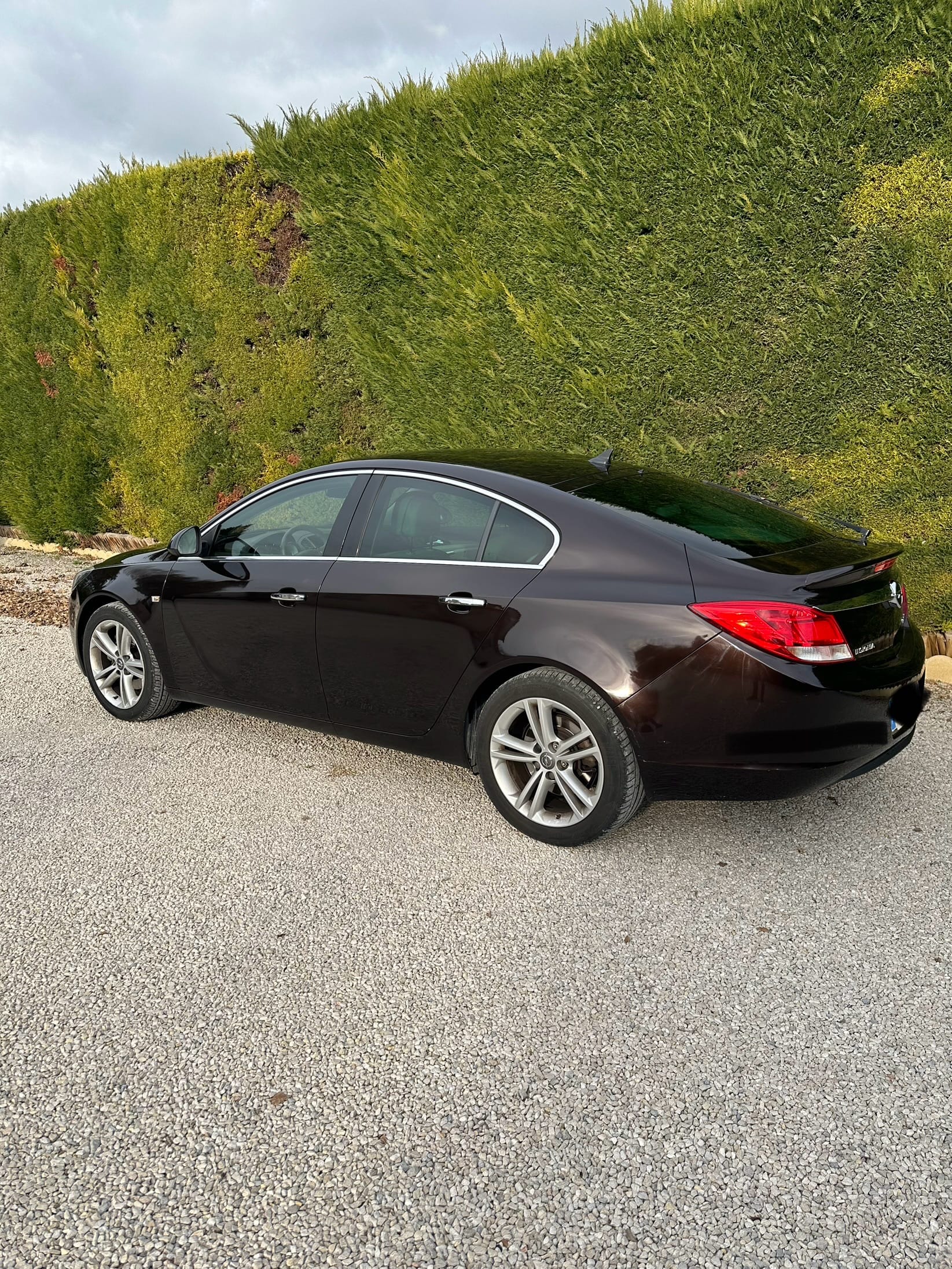 Opel Insignia avec Régulateur de vitesse