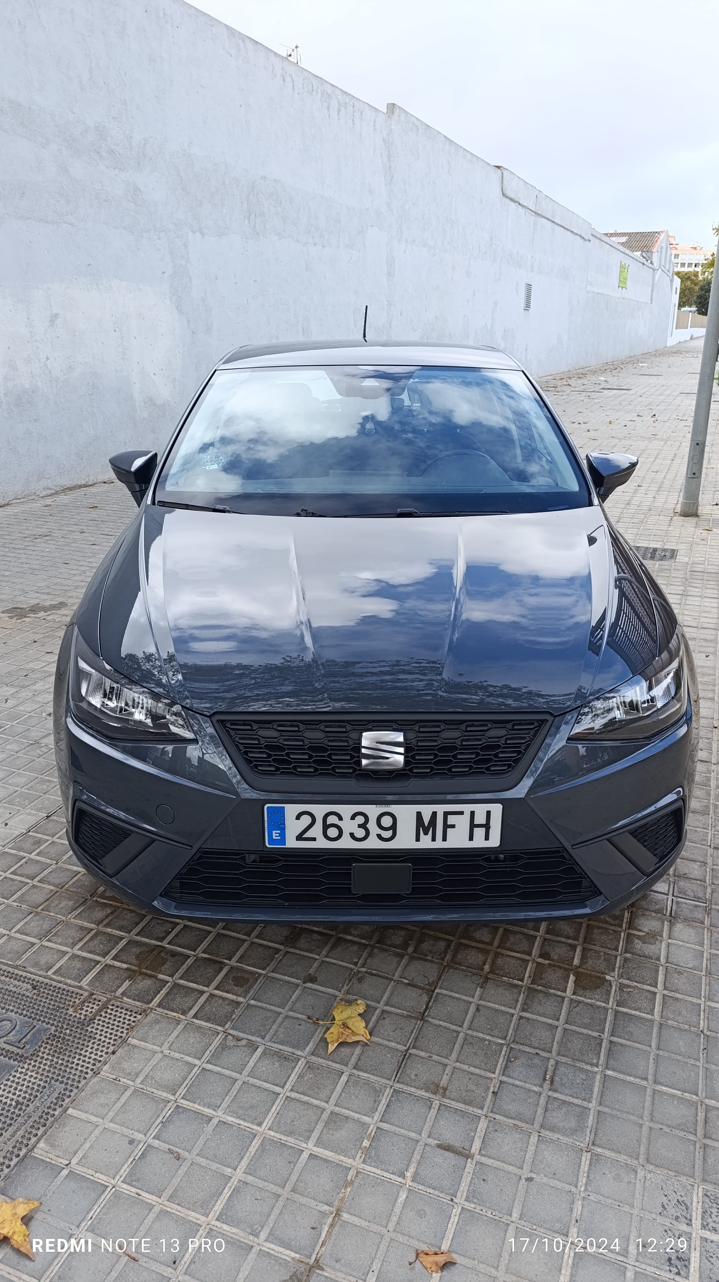 Seat Ibiza con Radio 