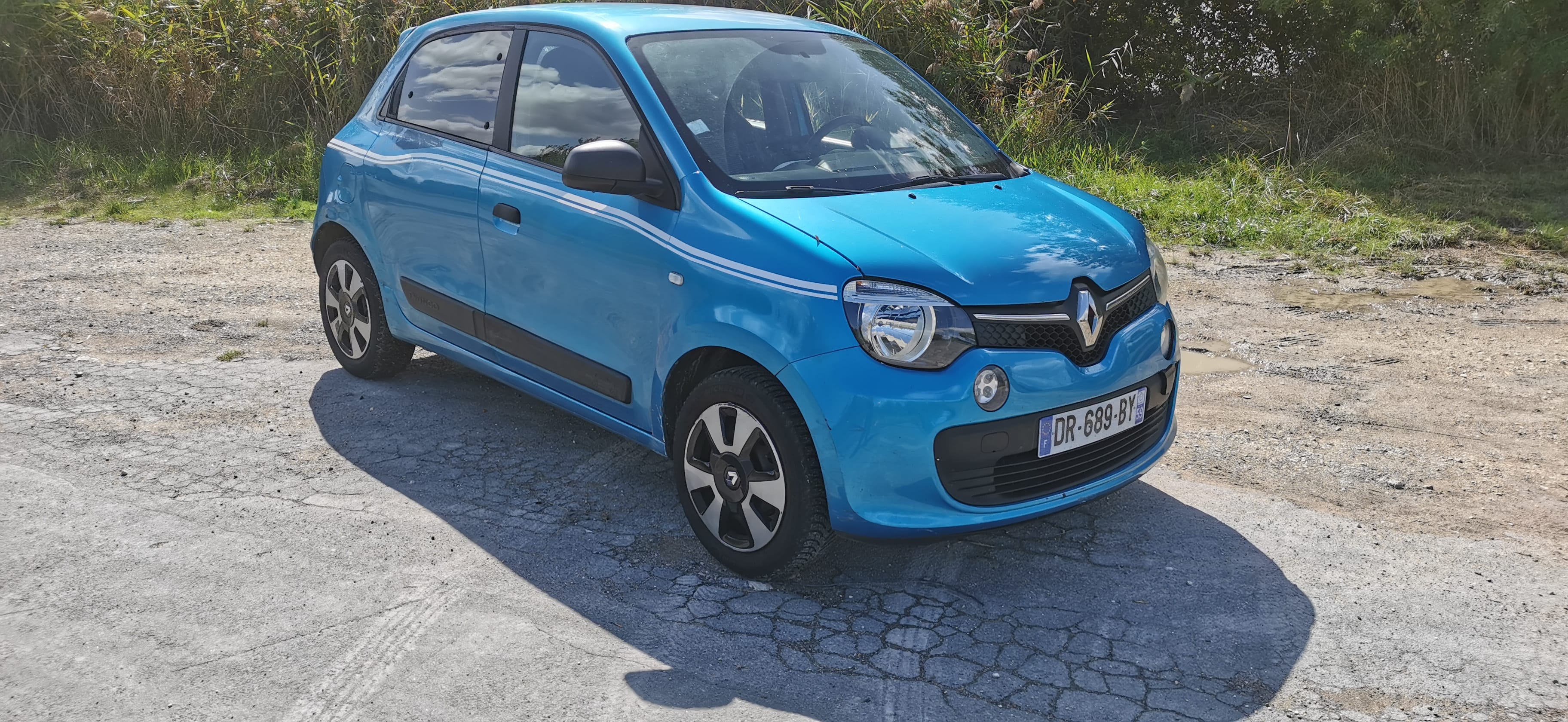 Renault Twingo III Bleu spdc