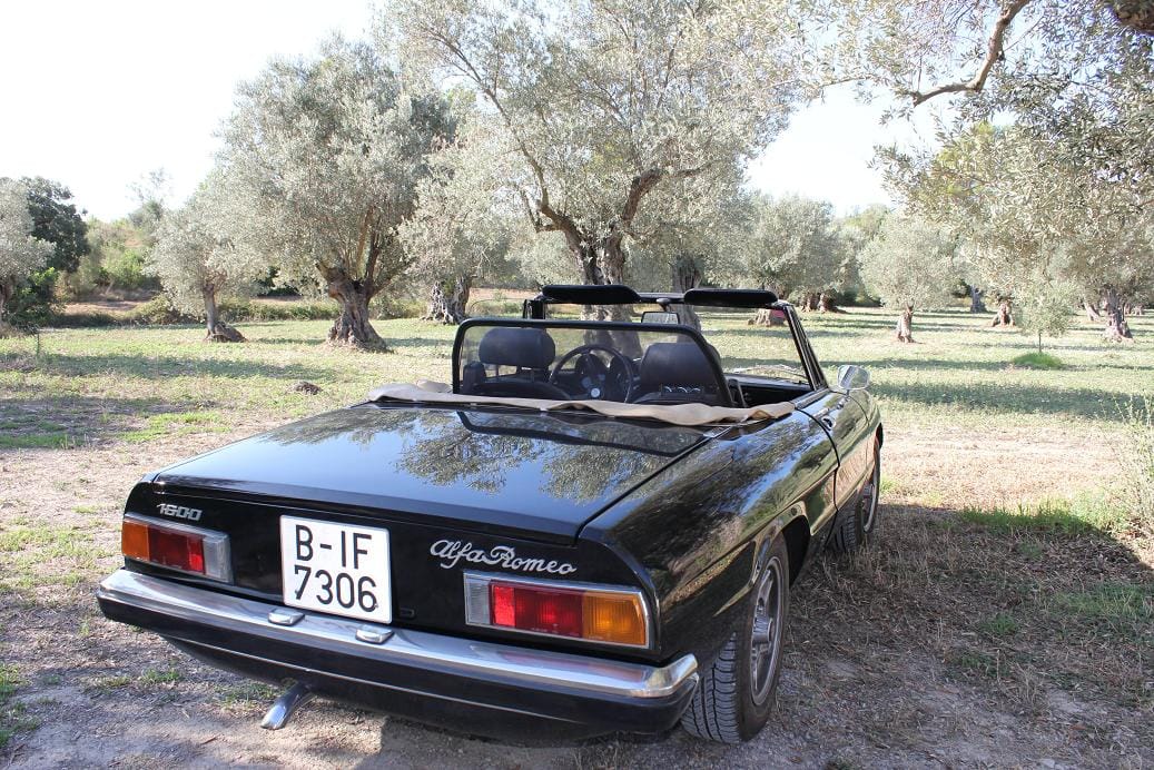 Alfa-Romeo Spider Duetto 1600