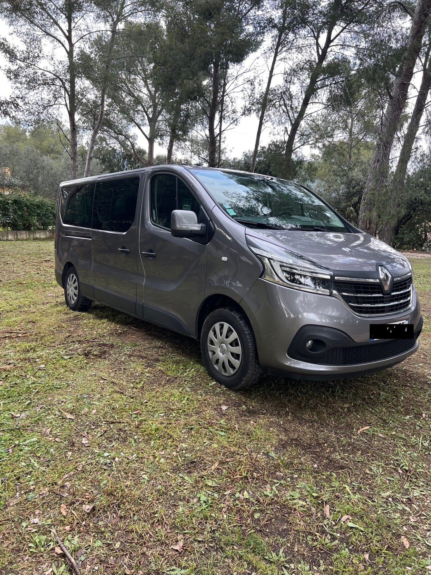 Renault Trafic Passenger 9 places 2.0 HDI 145 cv, 2019, Diesel, 9 places et plus