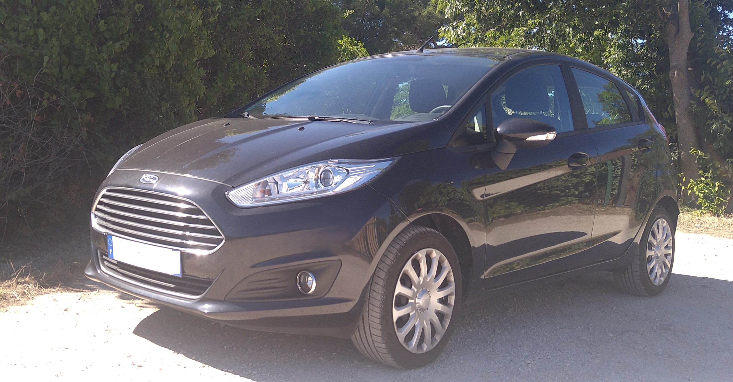 Ford Fiesta, 2014, Essence 95