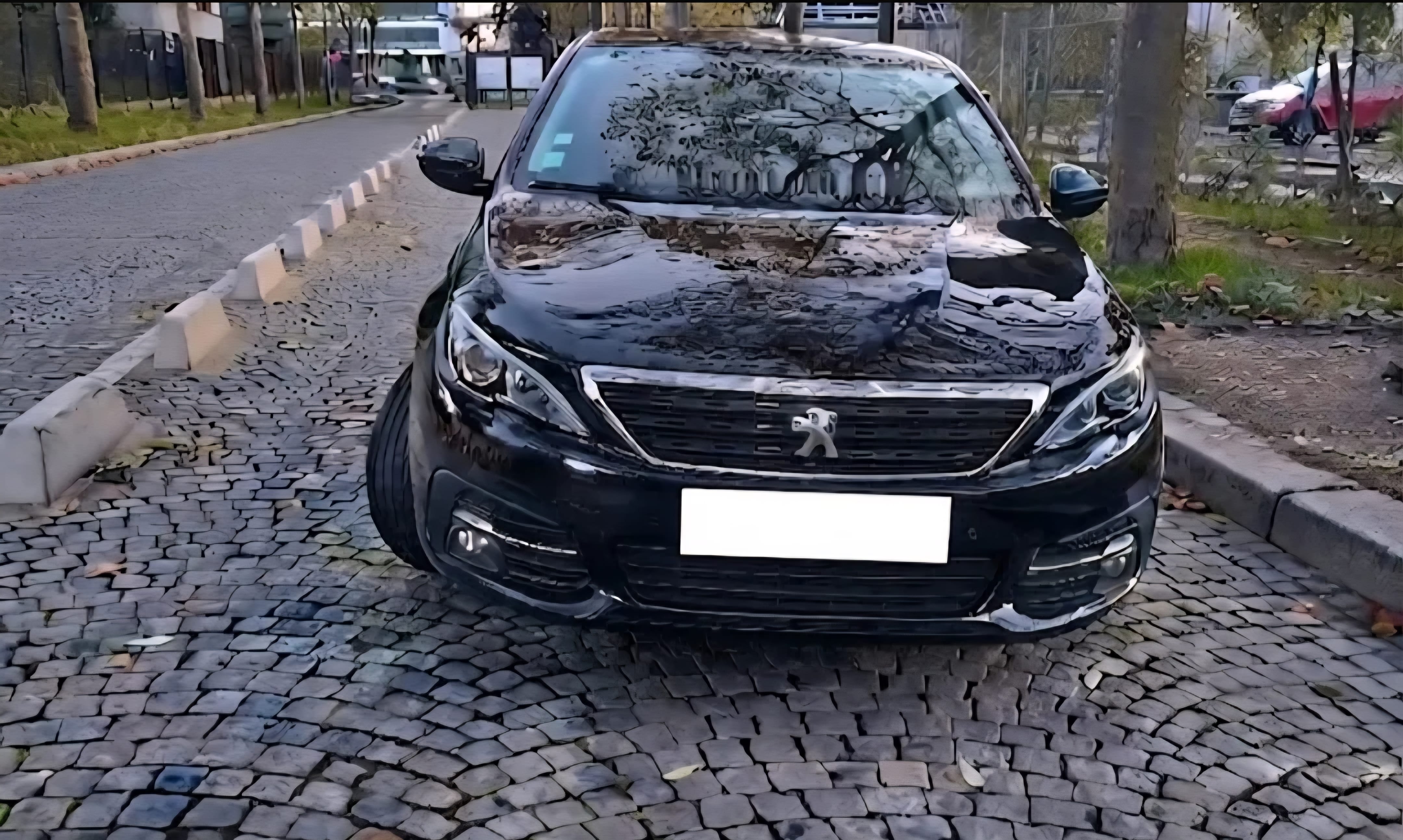 Peugeot 308 SW avec GPS