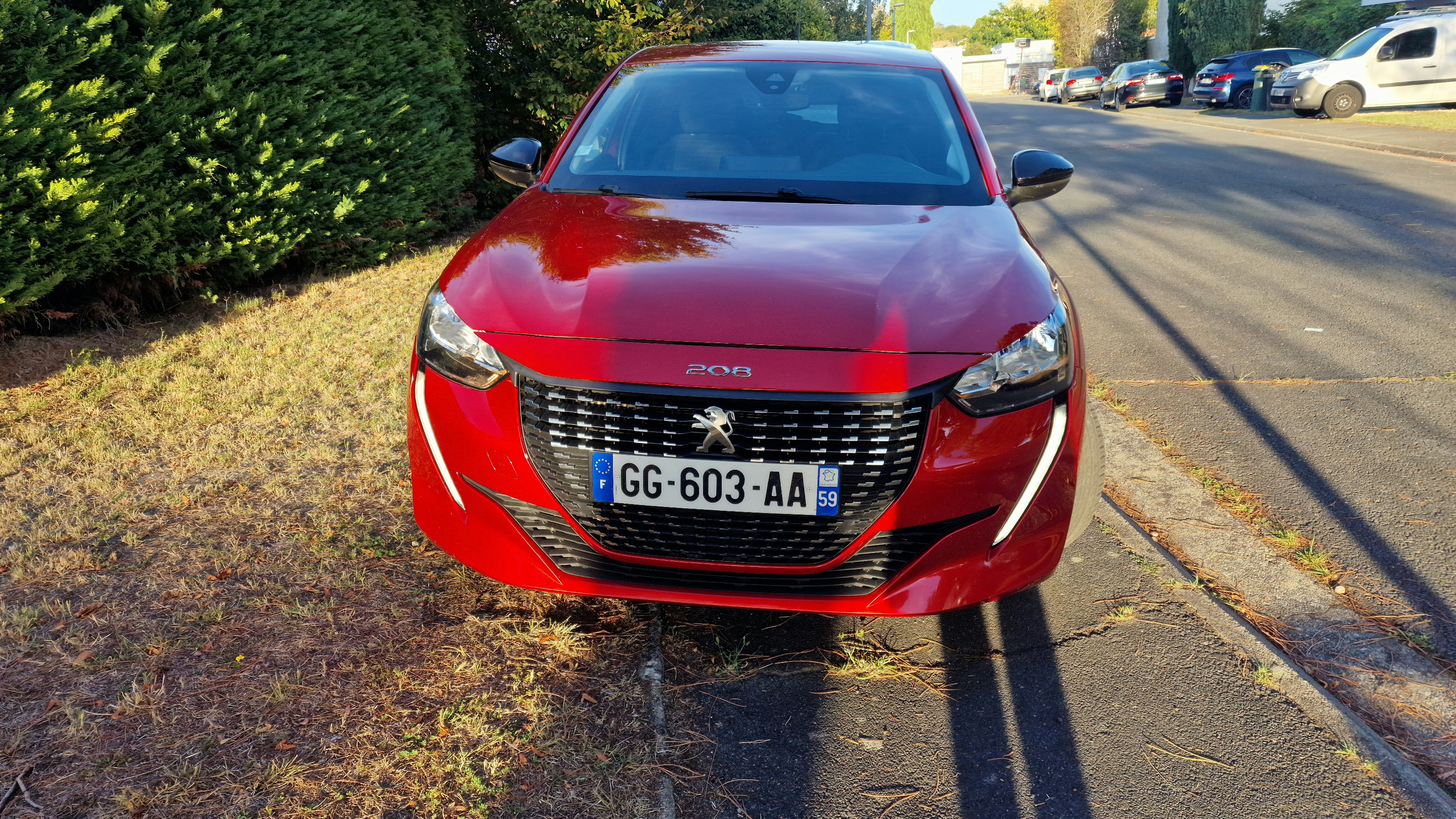 Peugeot 208 met Cruise control