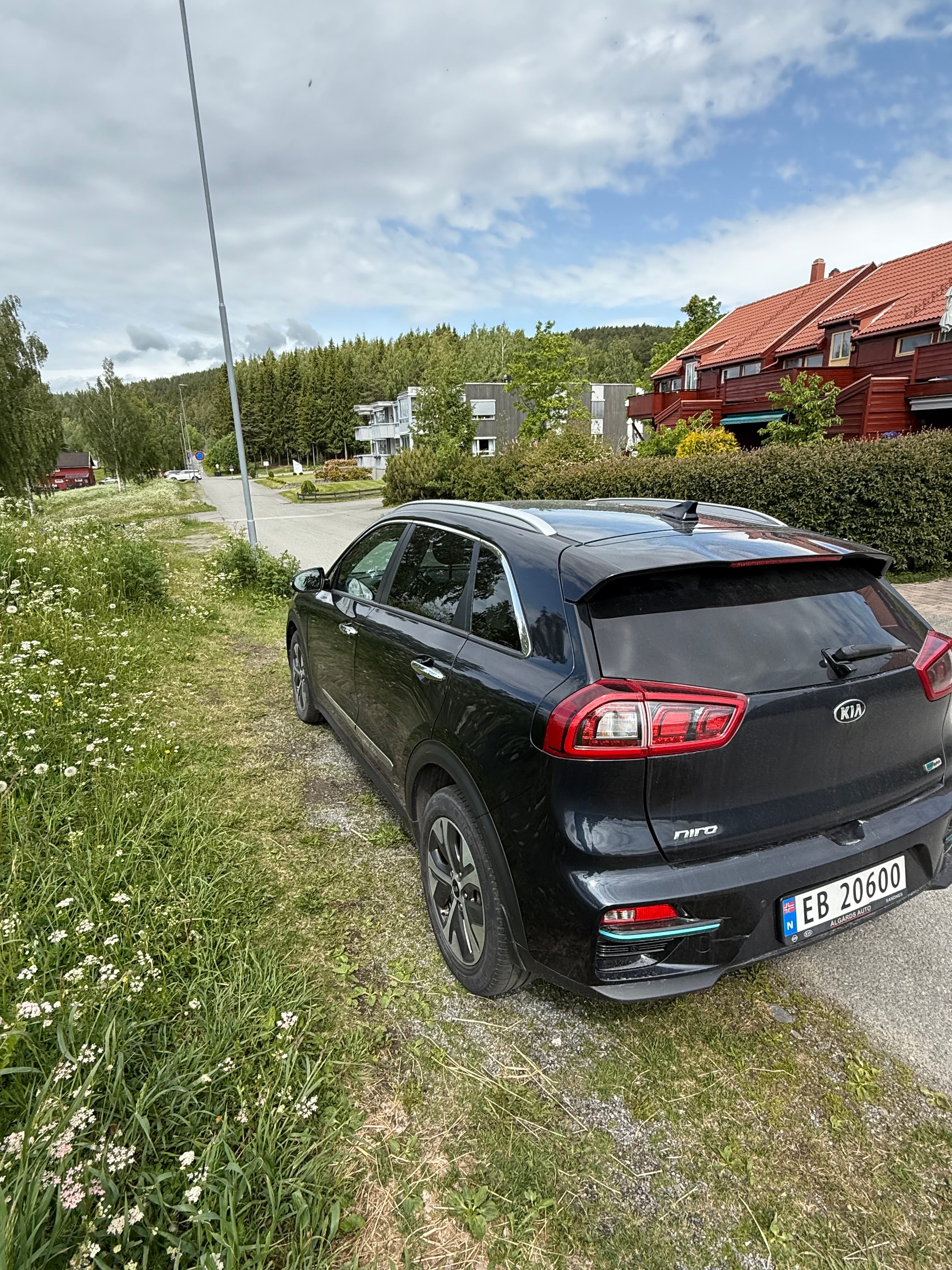 Kia e-Niro First Edition med Cruisekontroll