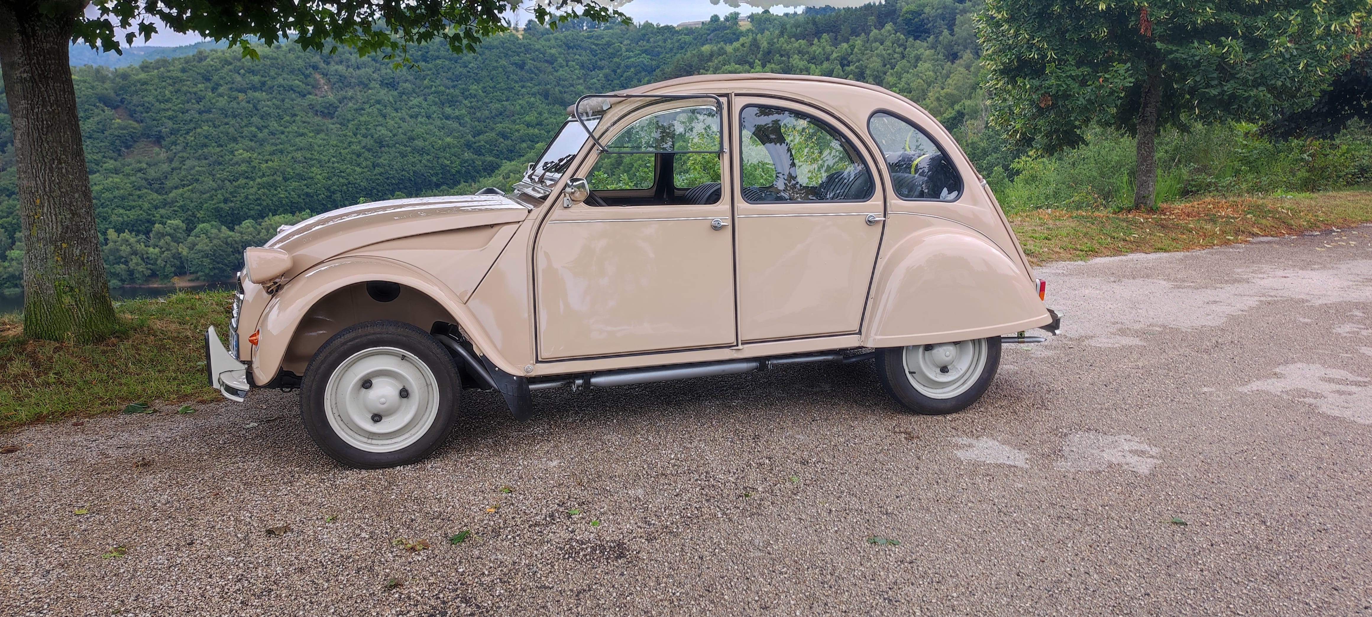Citroen 2CV, 1981, Essence 95